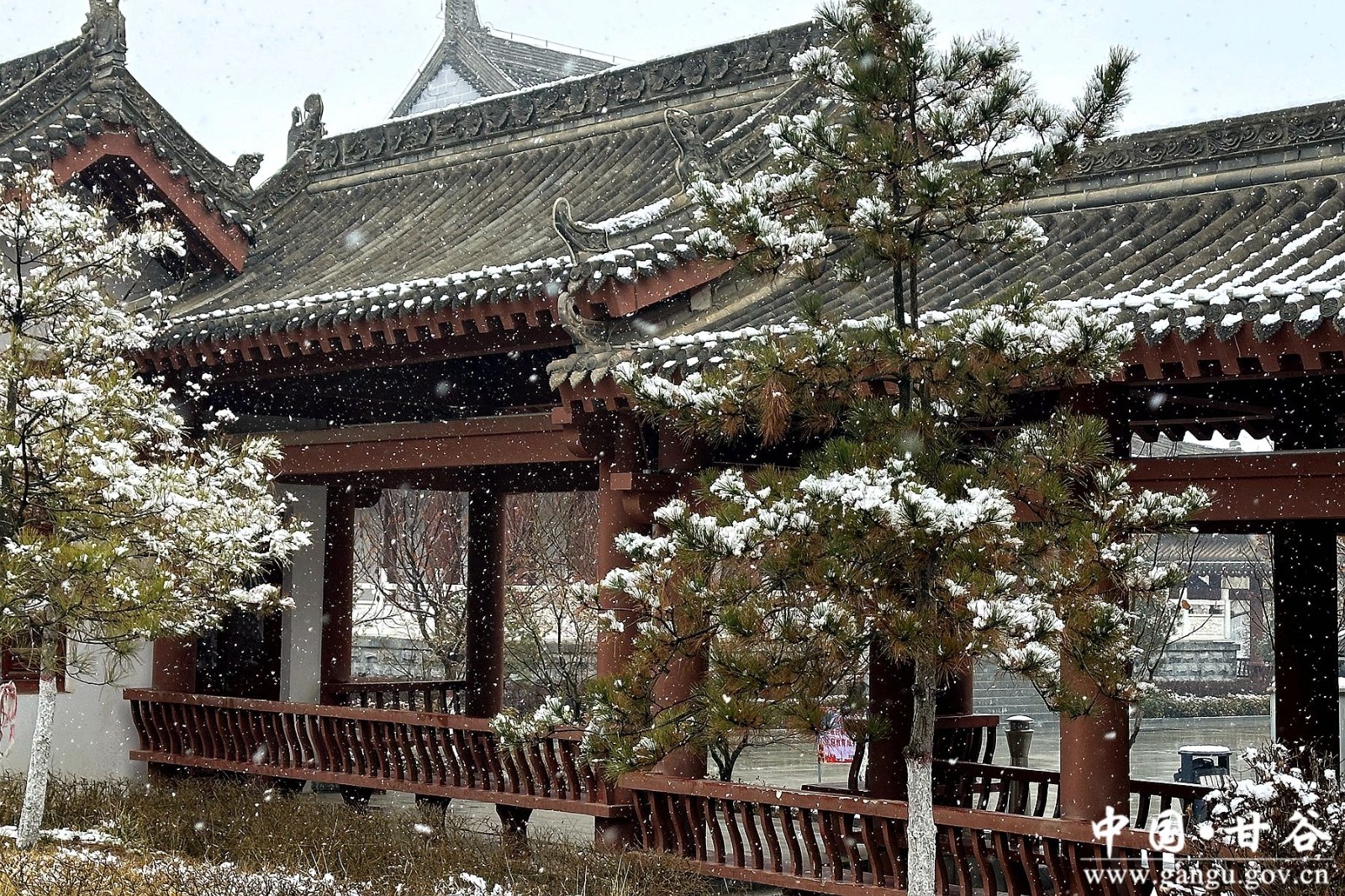 微信图片_20250220111739 微信图片_20250220111739