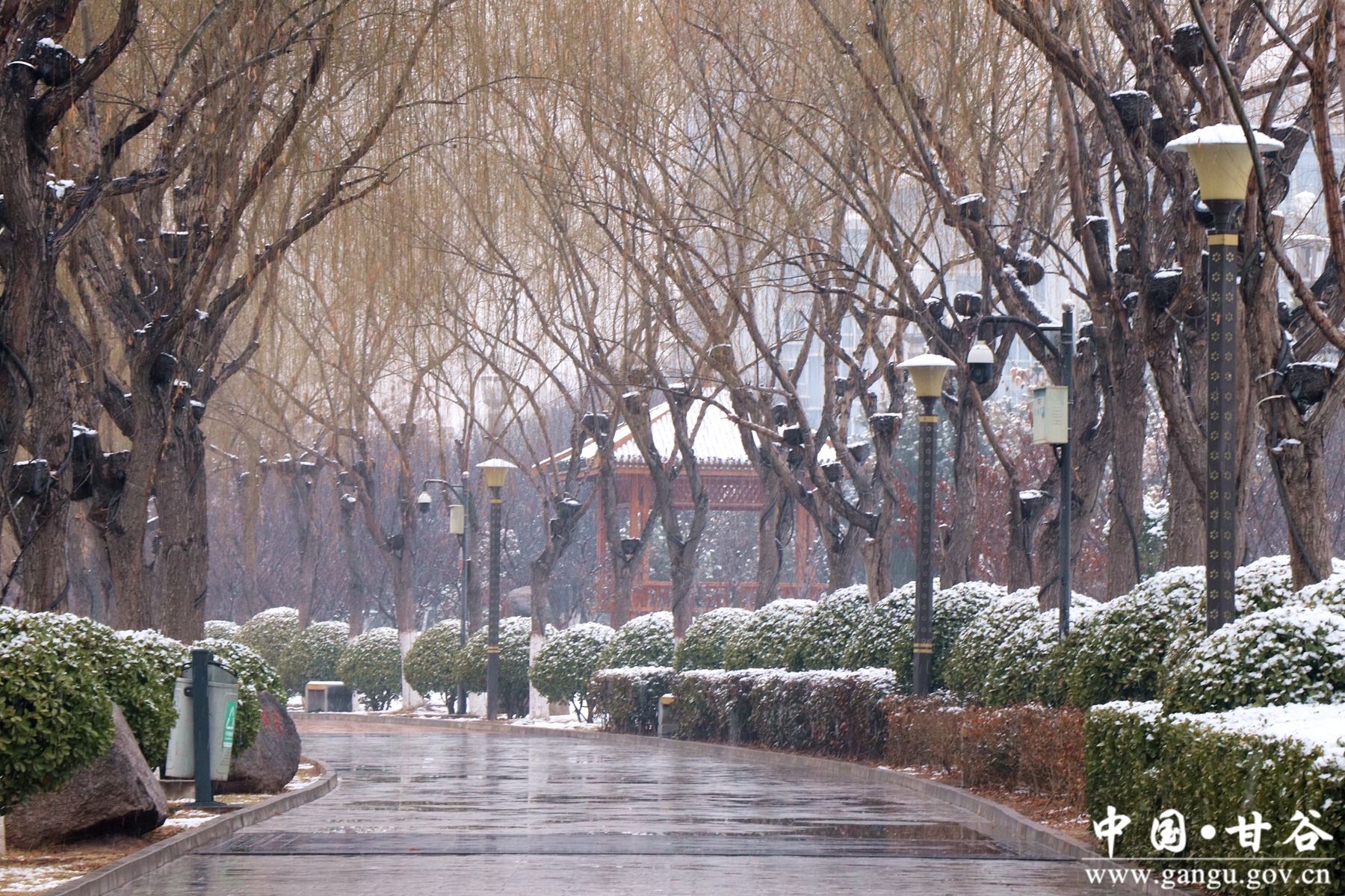 微信图片_20250220111712 微信图片_20250220111712