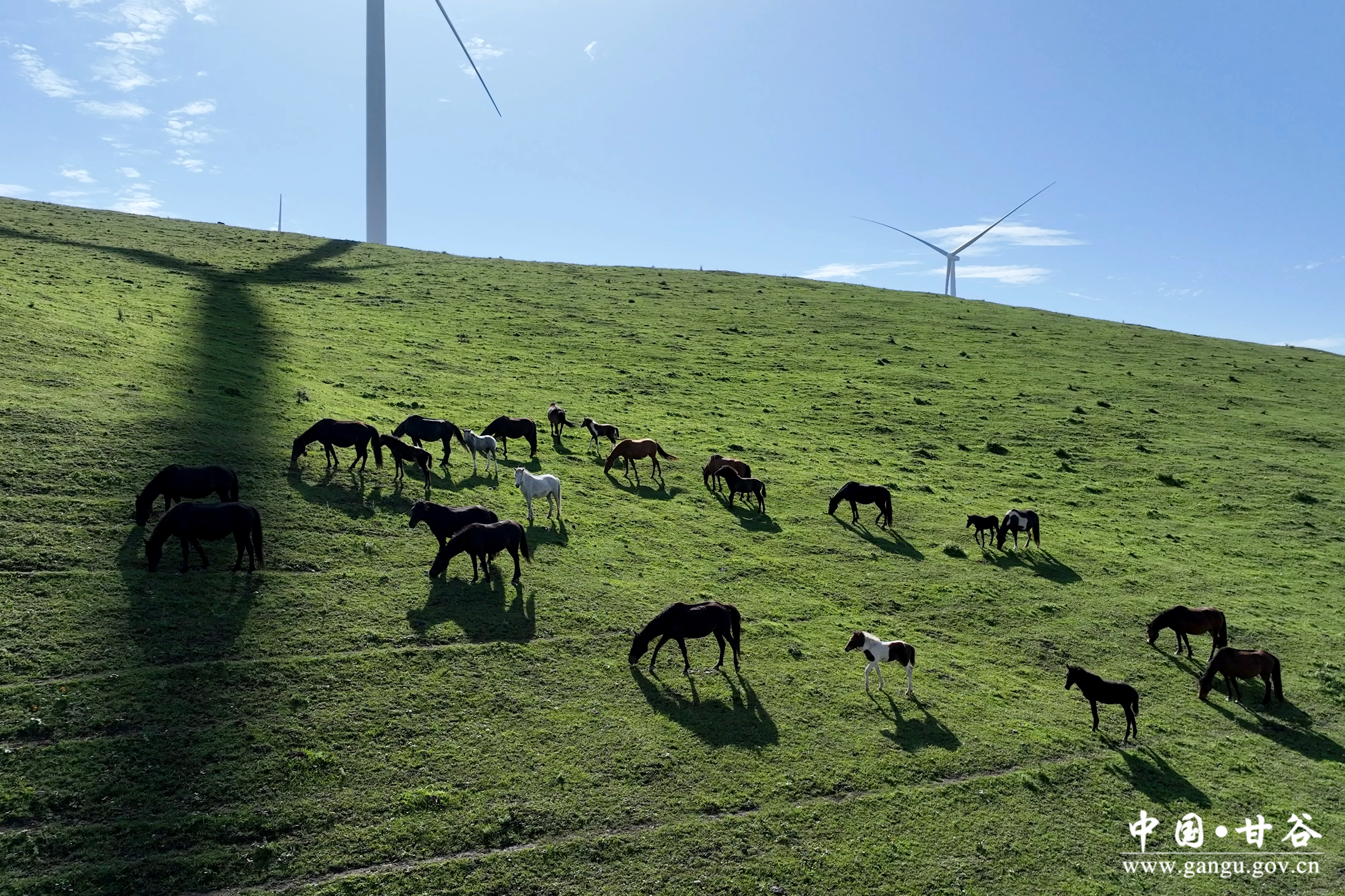 1755742645656031652.jpg 1755742645656031652.jpg