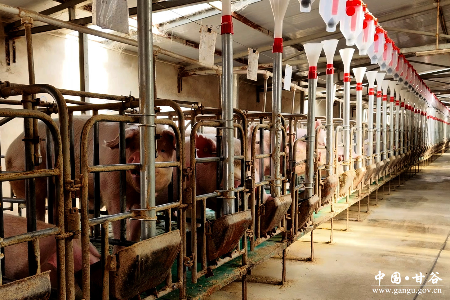 1733715642336098173.jpg 1733715642336098173.jpg