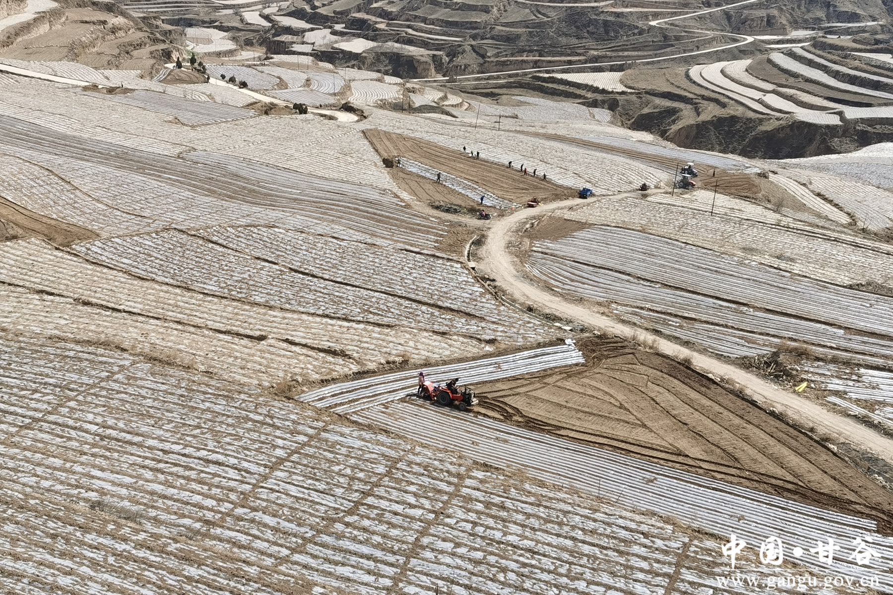 (礼辛镇河沟村驻村帮扶工作队协助村”两委”开展春季覆膜) (礼辛镇河沟村驻村帮扶工作队协助村”两委”开展春季覆膜)