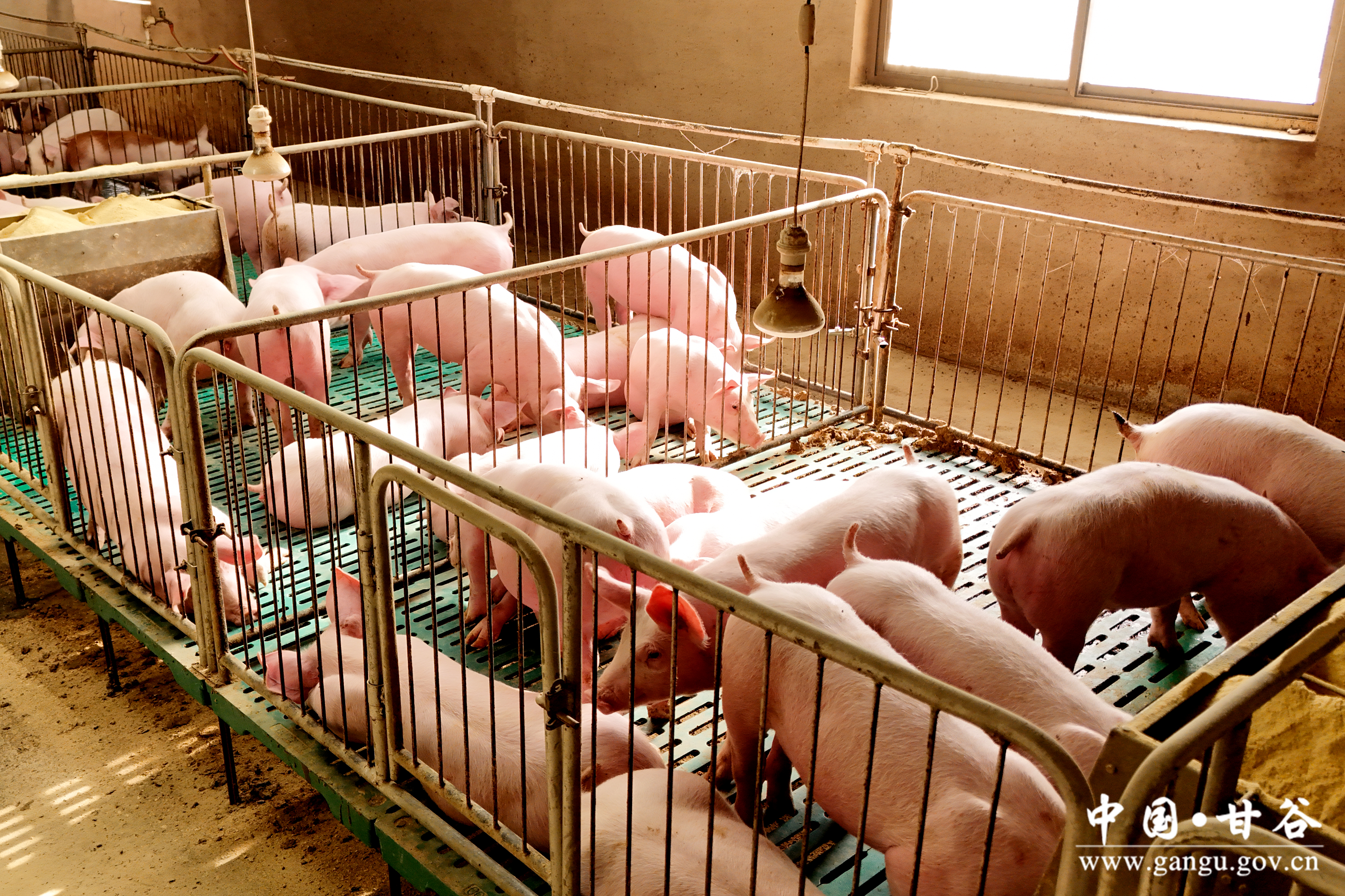 1733715175740000969.jpg 1733715175740000969.jpg