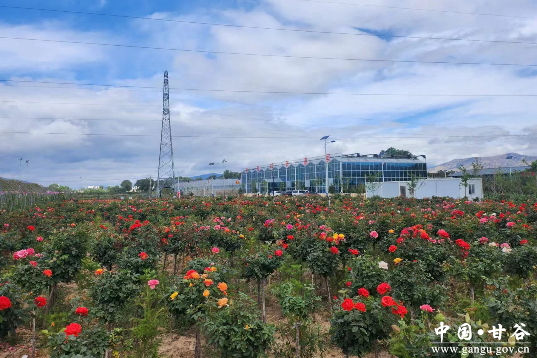 ad90a8b1517e4961a20f58144a1e1ef6 ad90a8b1517e4961a20f58144a1e1ef6