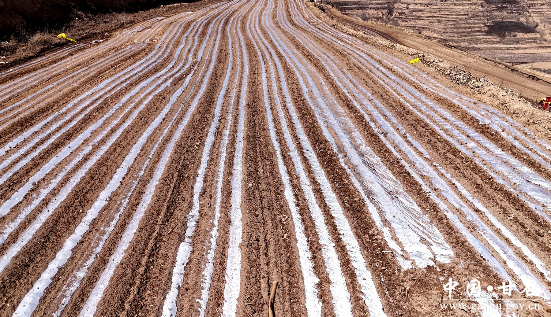 DJI_20250325113138_0874_D DJI_20250325113138_0874_D