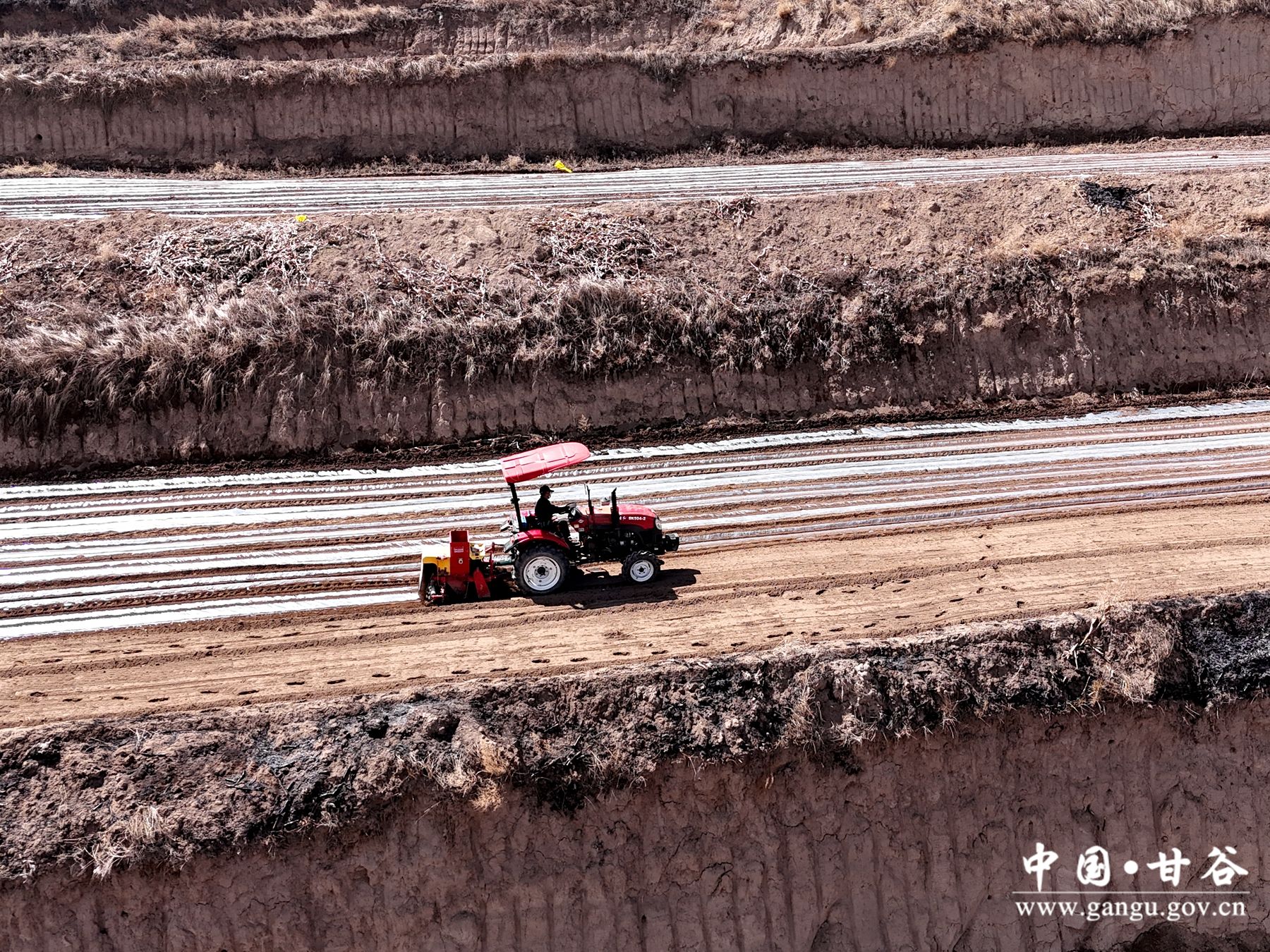 DJI_20250325113524_0881_D DJI_20250325113524_0881_D