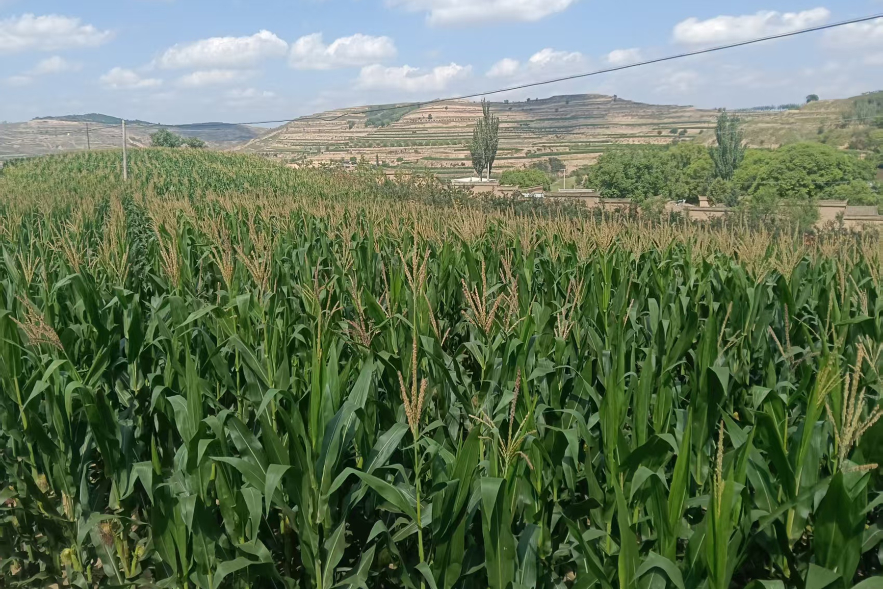 31b570af3ae043de85e408517e6e1d39 31b570af3ae043de85e408517e6e1d39