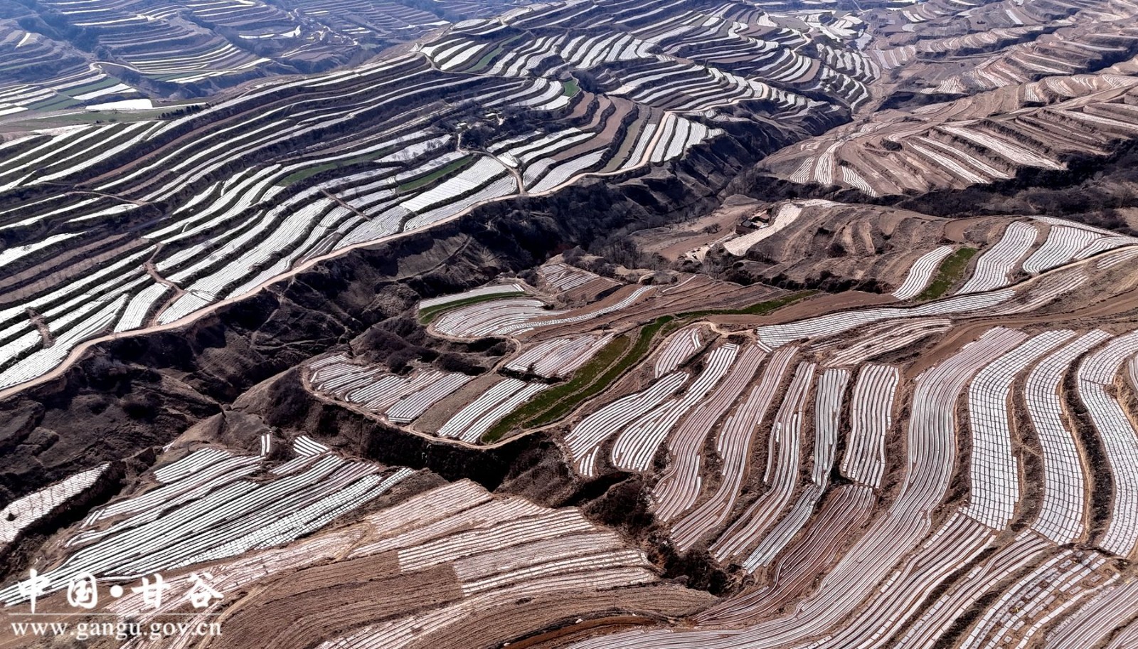 DJI_20250325101626_0836_D DJI_20250325101626_0836_D