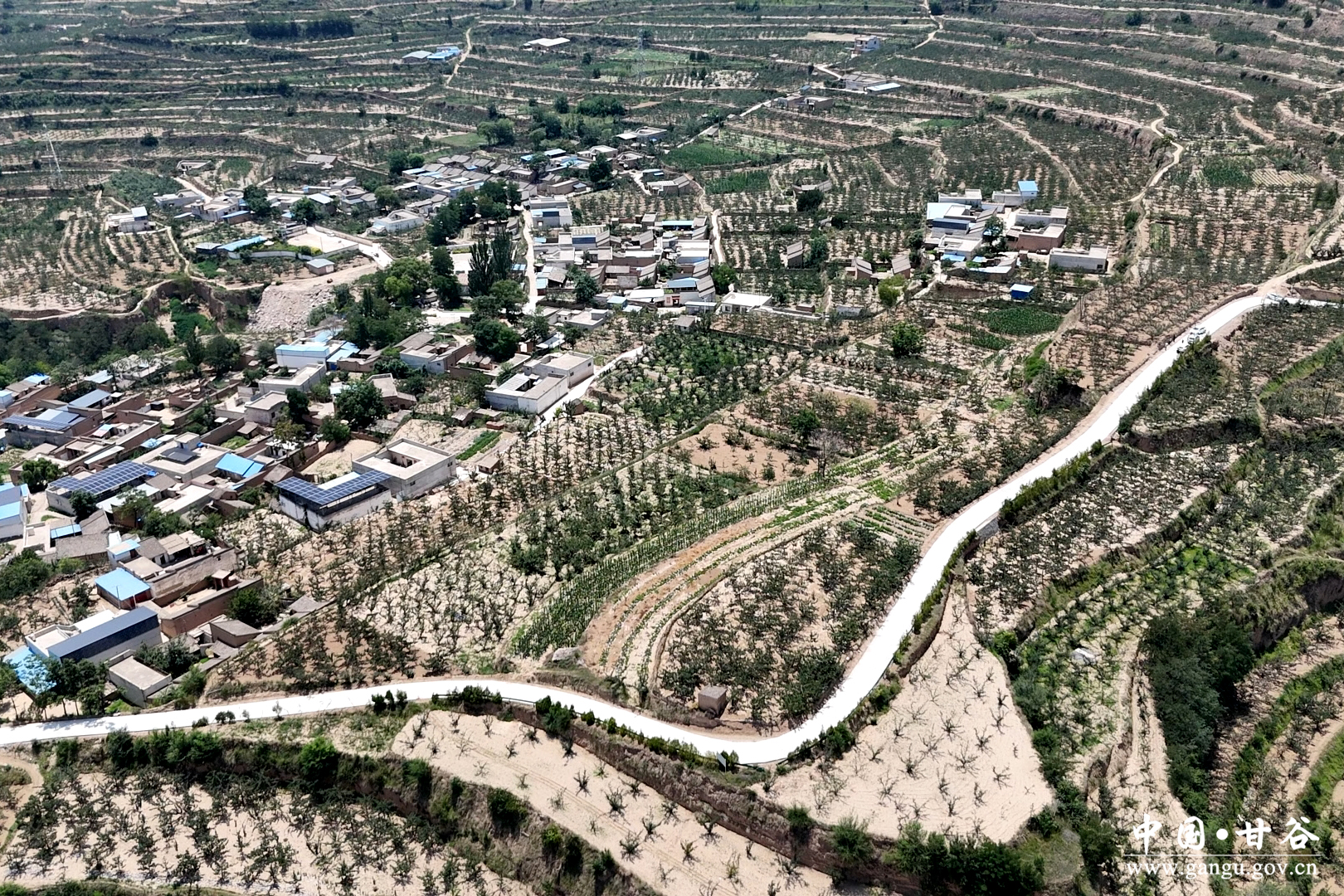 1752635366873056550.jpg 1752635366873056550.jpg