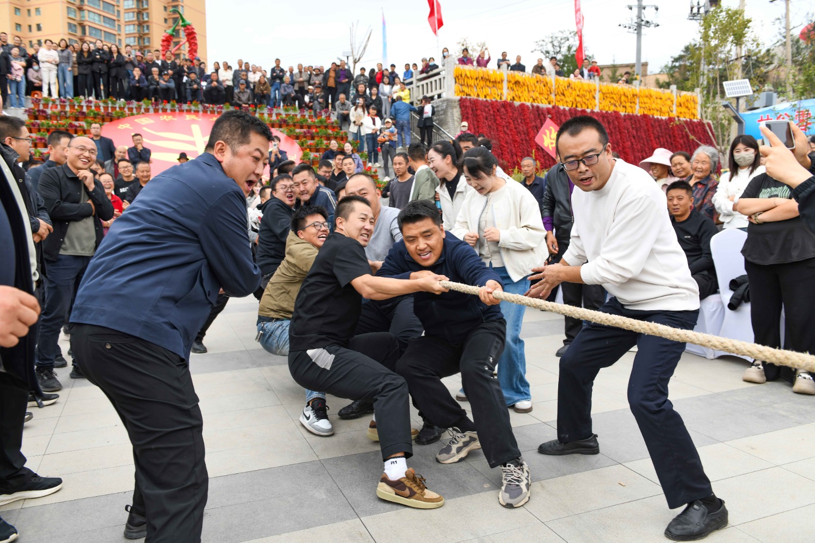 DSC_4193 拷贝 DSC_4193 拷贝