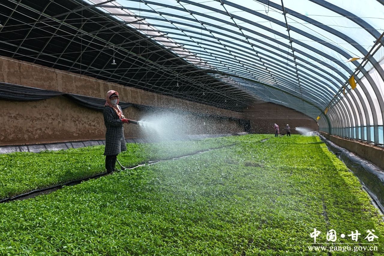 4e6f379d778c0d76953df64d3e53ed3 4e6f379d778c0d76953df64d3e53ed3