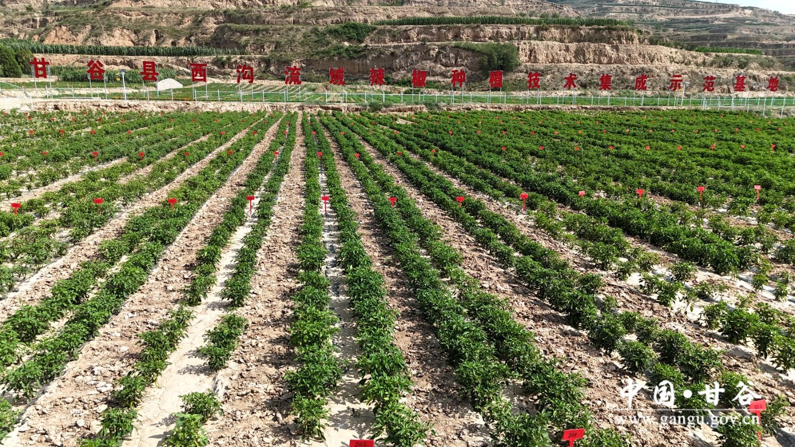 440e2693caad0c31749236fcf34a720 440e2693caad0c31749236fcf34a720