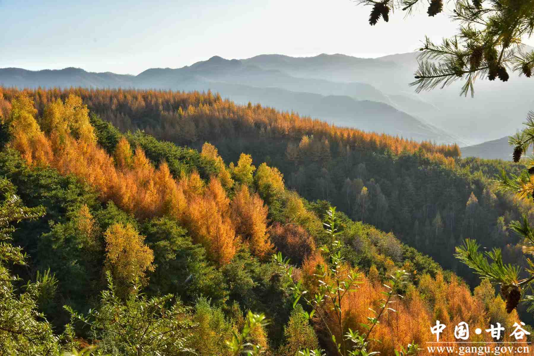 刘全义 (1) 刘全义 (1)