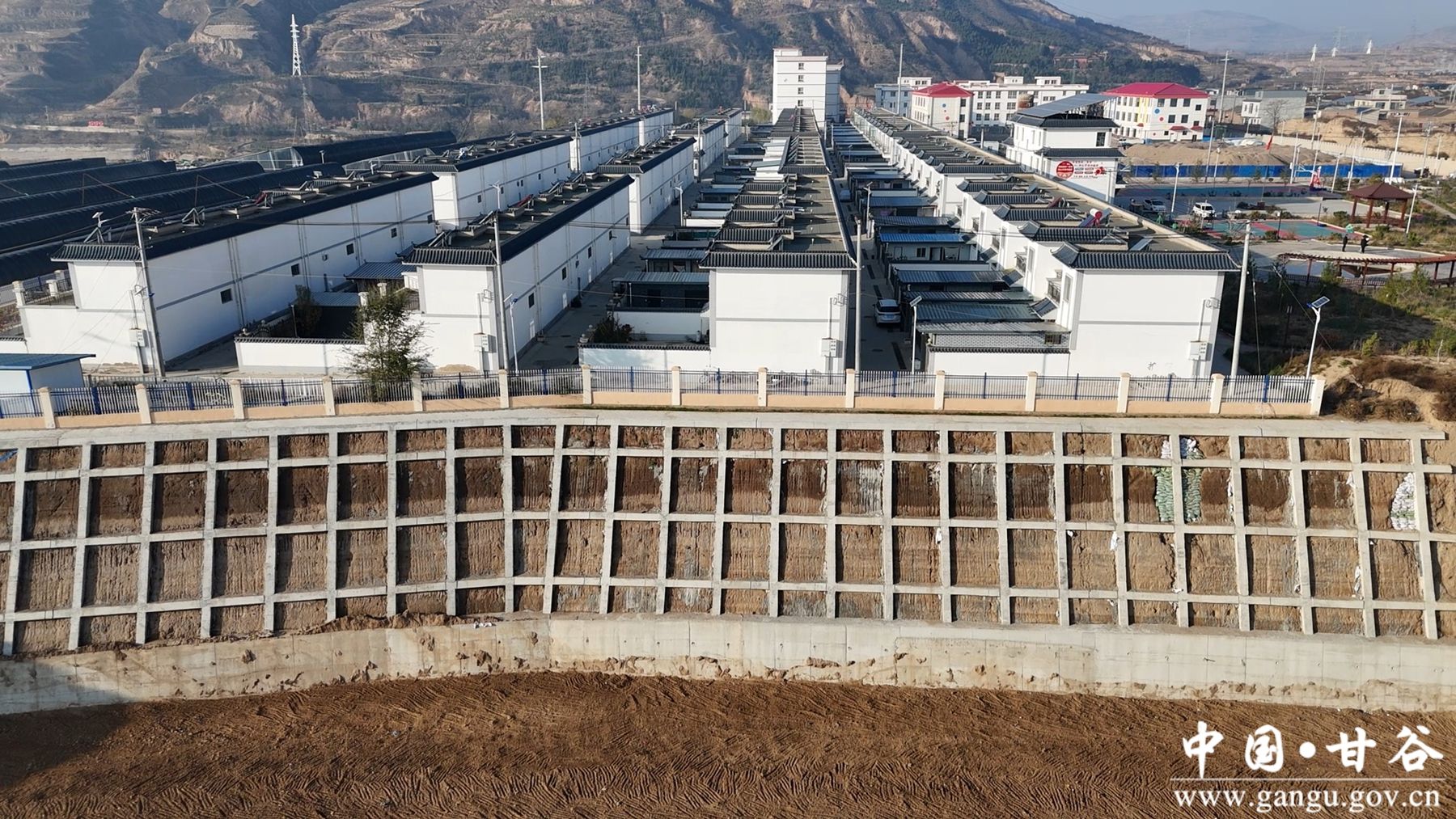 微信图片_20241125101313_副本 微信图片_20241125101313_副本