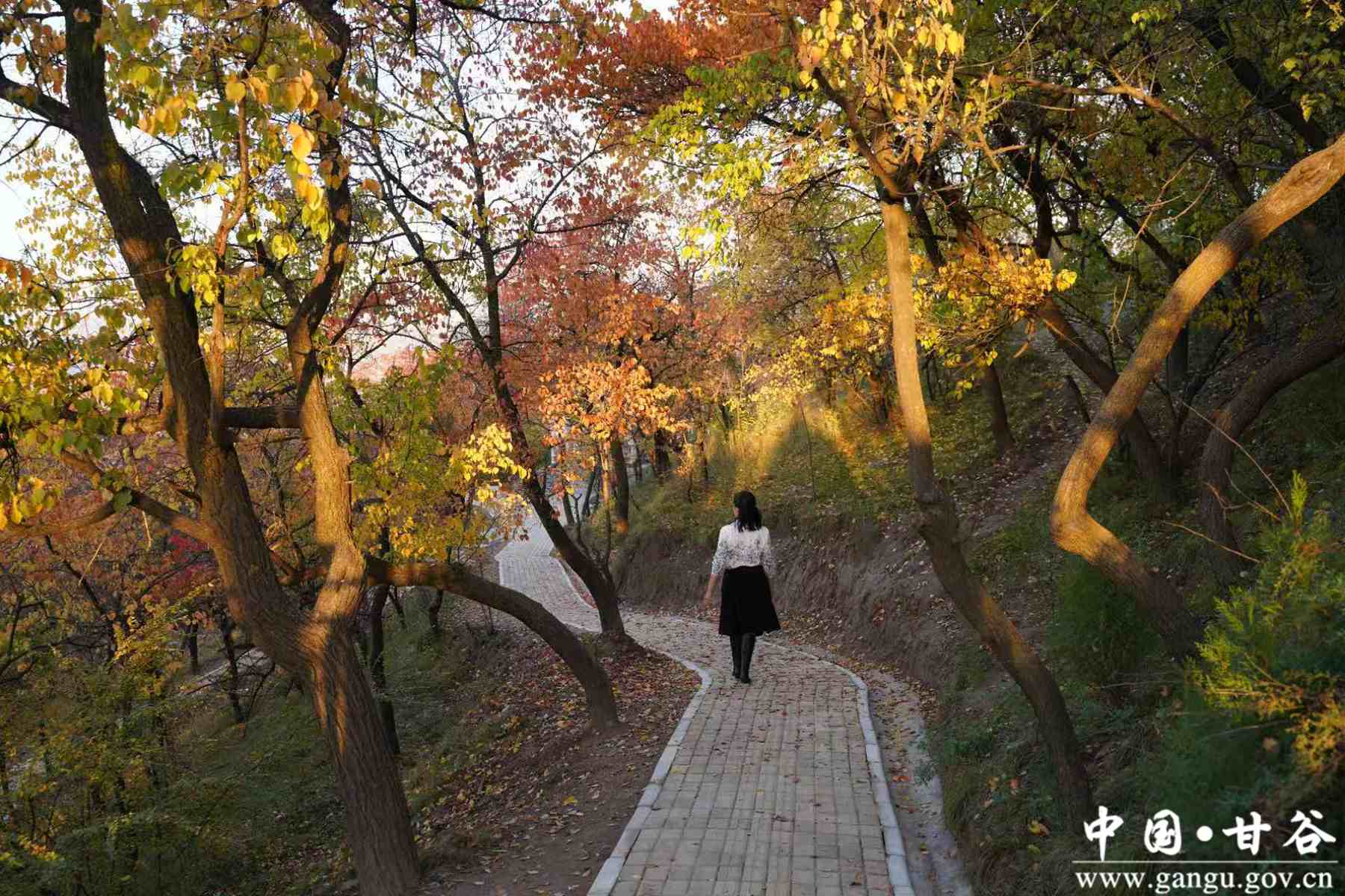 刘全义 (16) 刘全义 (16)