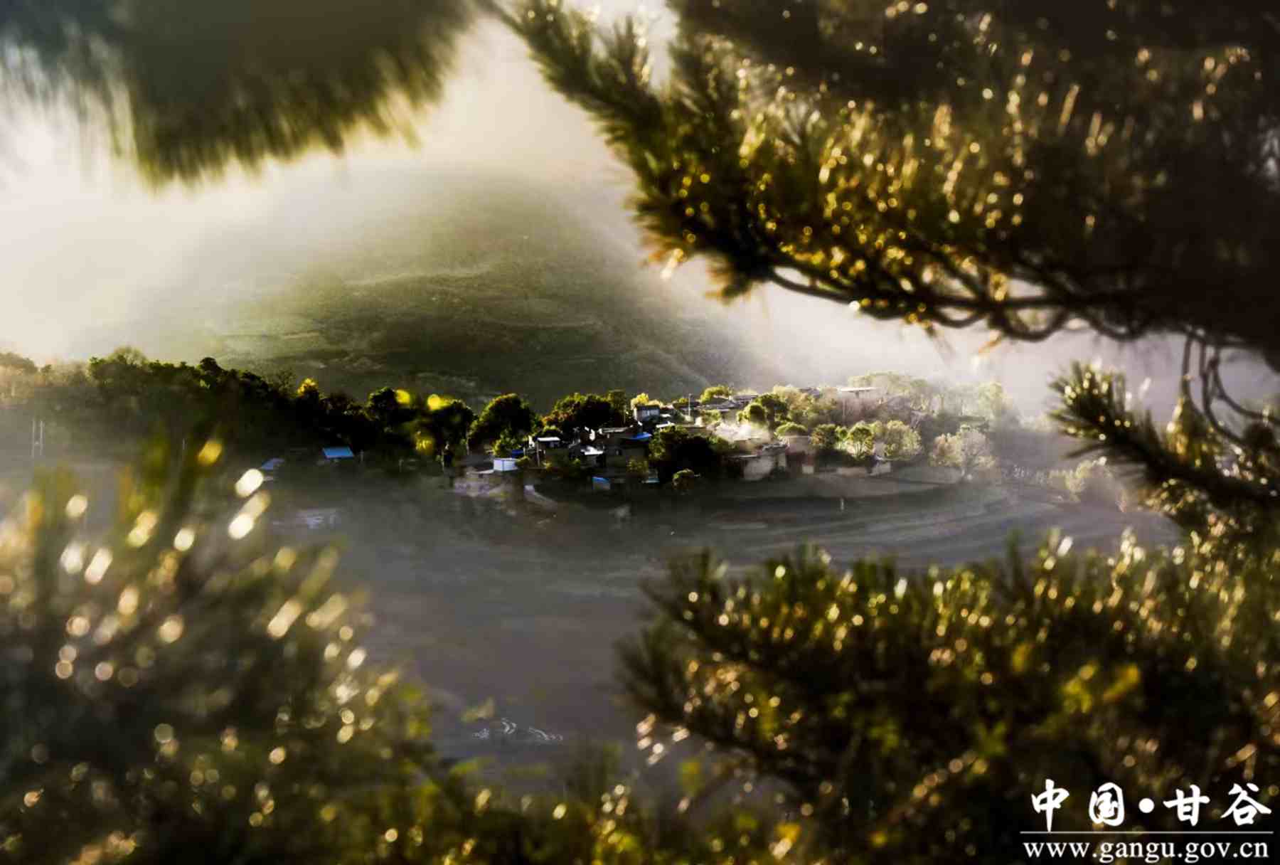 刘全义 (18) 刘全义 (18)