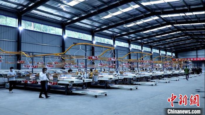 甘肃天水:首条12500吨数字化分选线助力苹果采摘