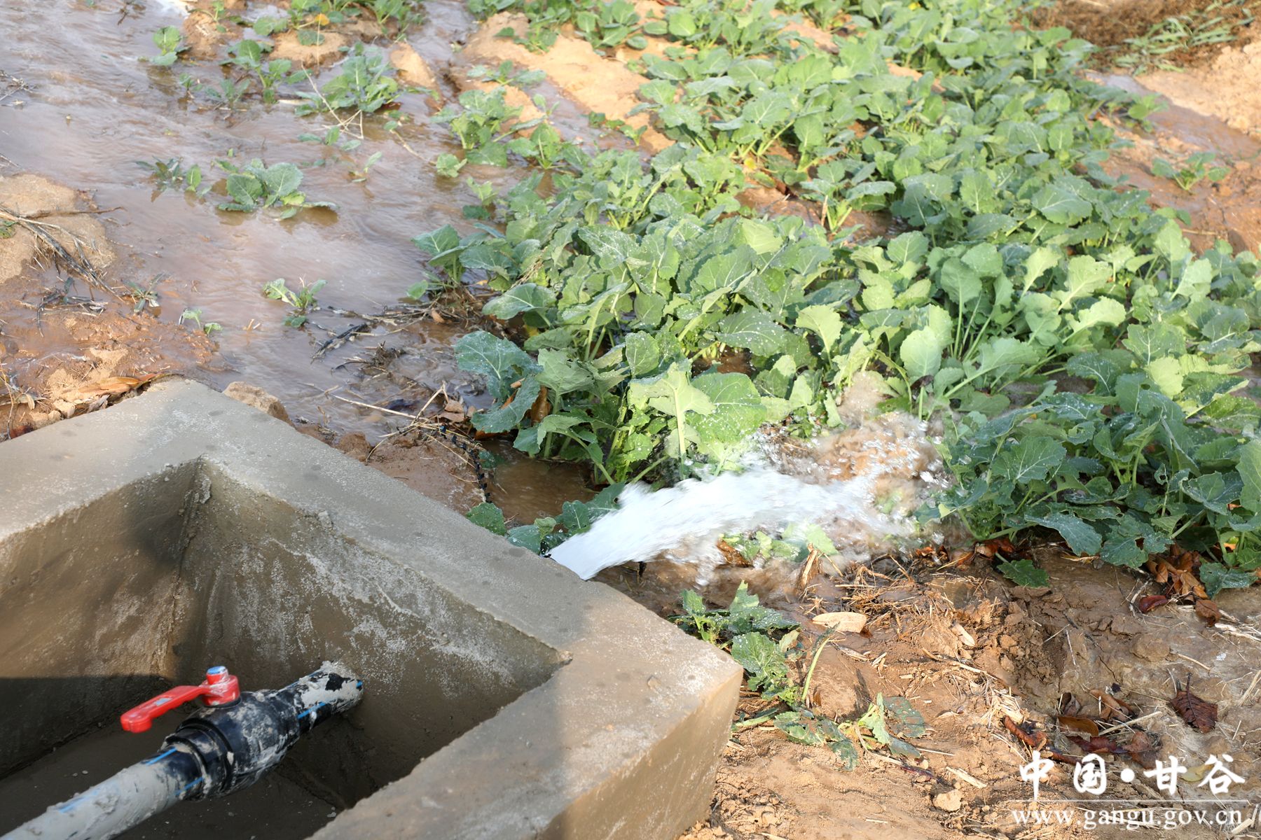 926A7123_副本_副本 926A7123_副本_副本