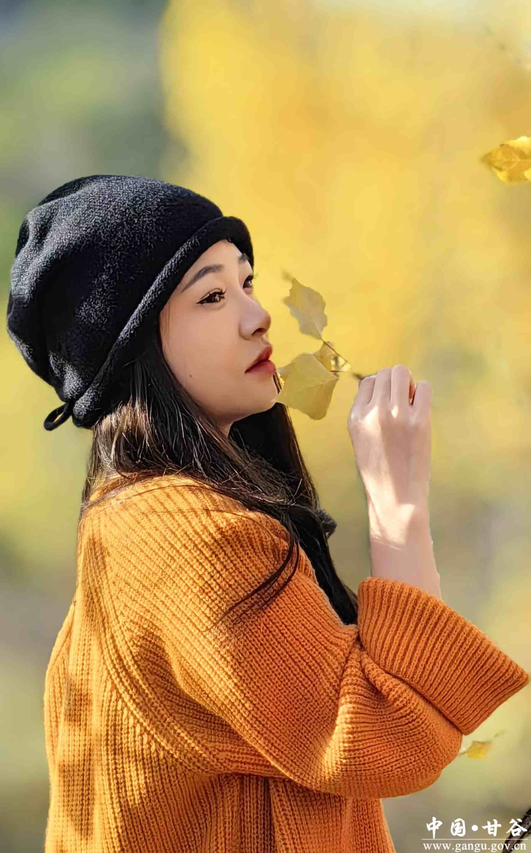 刘全义 (9) 刘全义 (9)