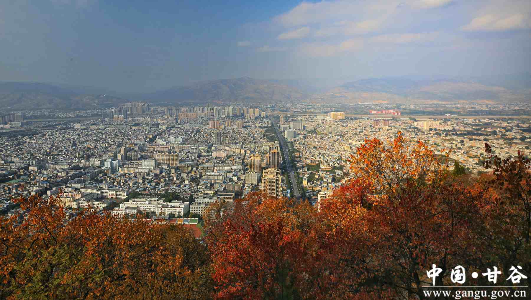 刘全义 (12) 刘全义 (12)