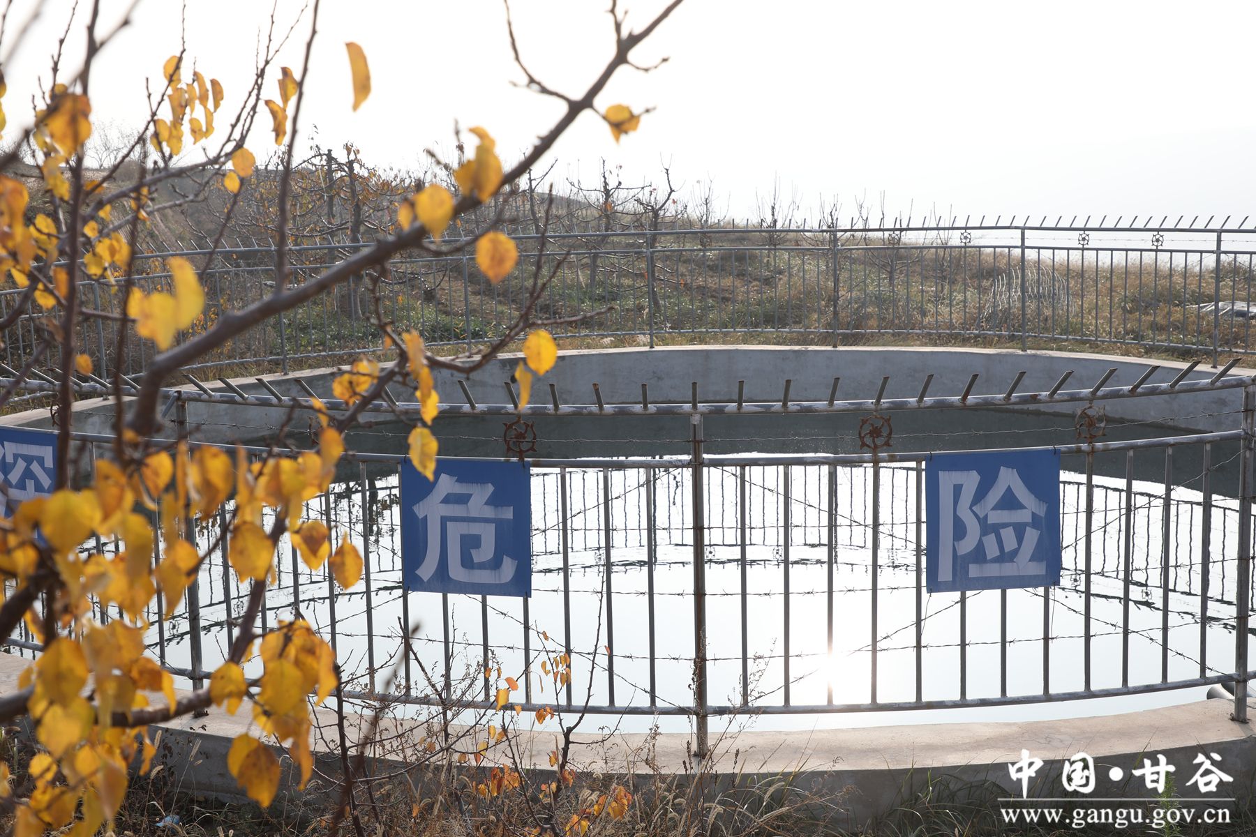 926A7107_副本_副本 926A7107_副本_副本