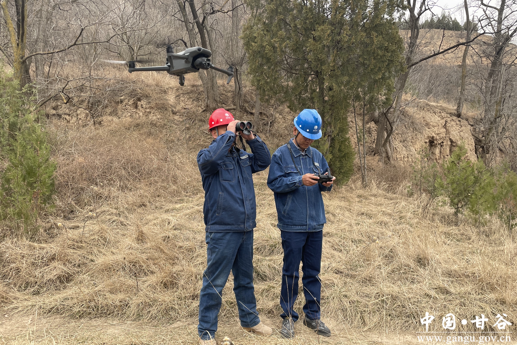 微信图片_20250330154034 微信图片_20250330154034