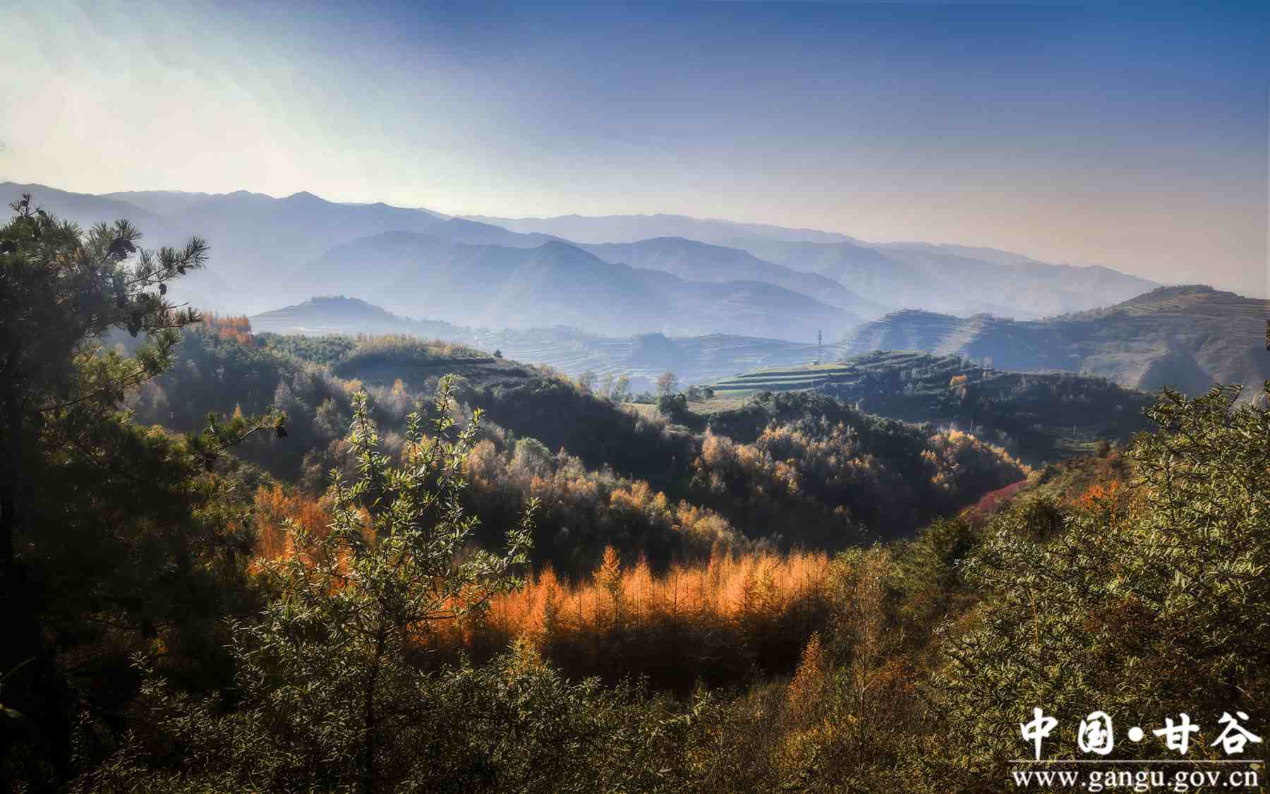 刘全义 (3) 刘全义 (3)