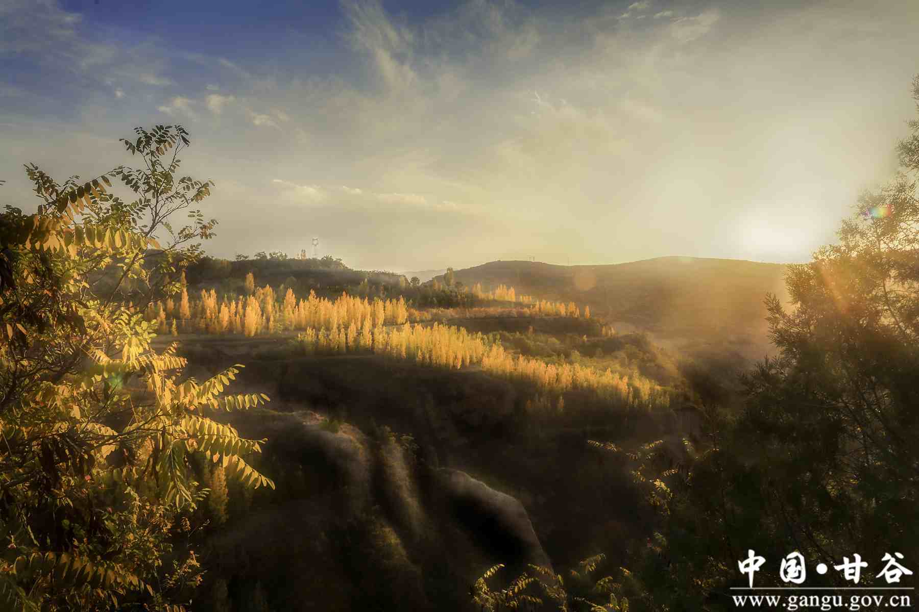 刘全义 (13) 刘全义 (13)