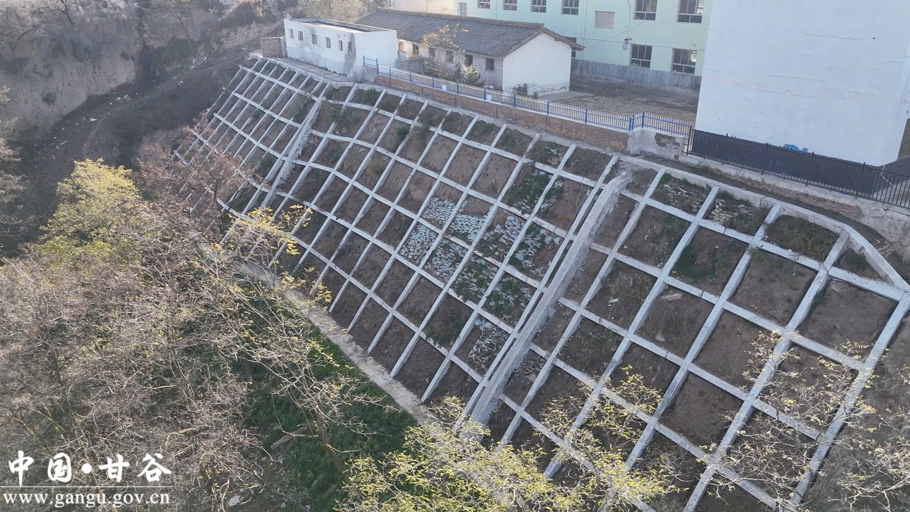 微信图片_20241125101326_副本 微信图片_20241125101326_副本