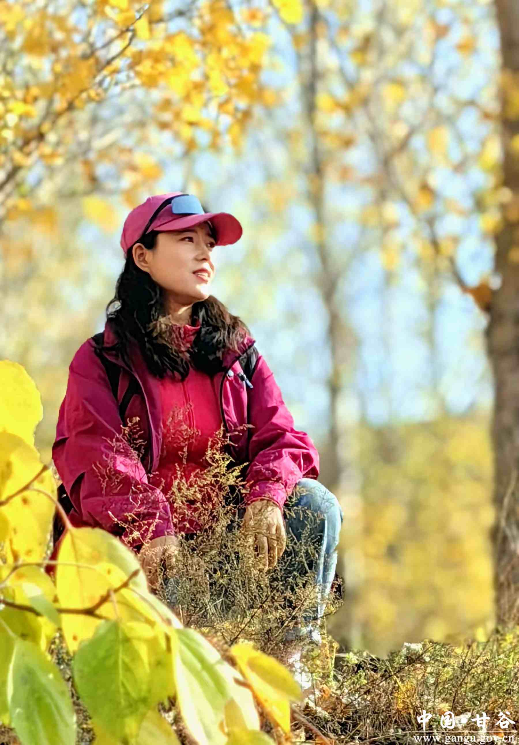 刘全义 (11) 刘全义 (11)