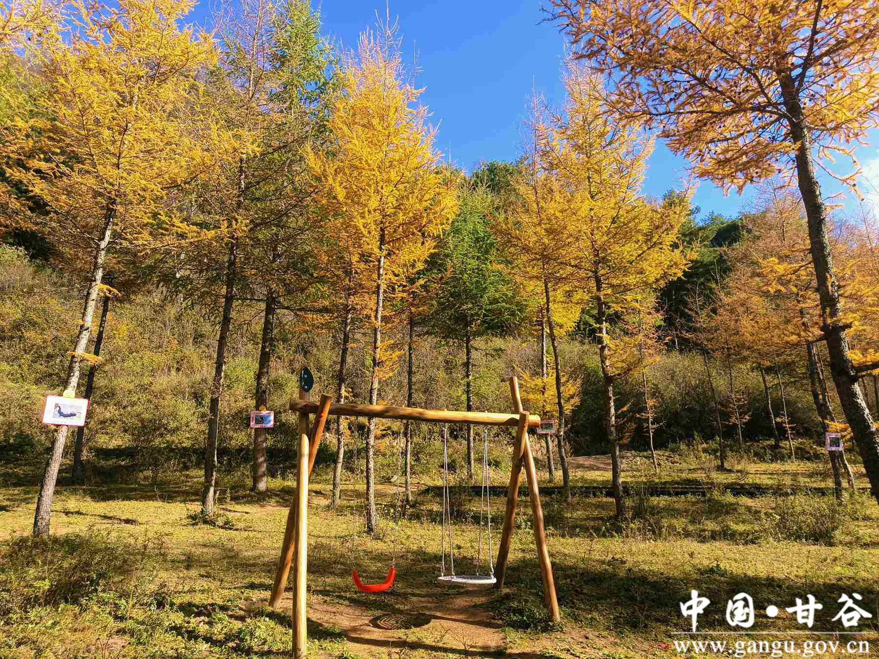 王正伟 (15) 王正伟 (15)