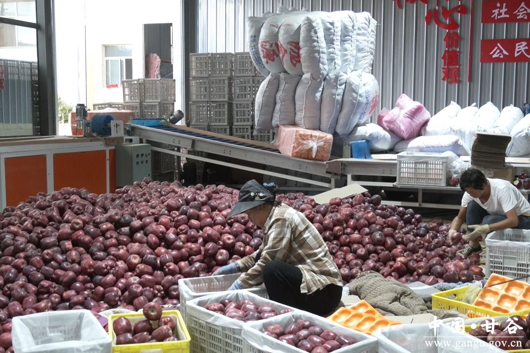 1726645529911074944 1726645529911074944