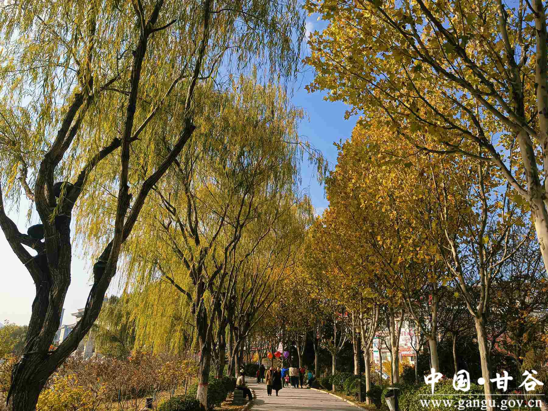 王正伟 (3) 王正伟 (3)