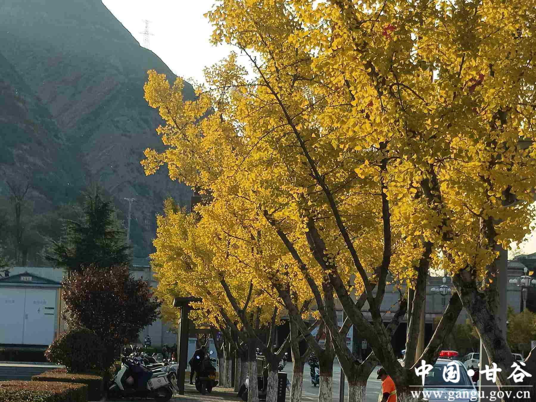 王正伟 (10) 王正伟 (10)