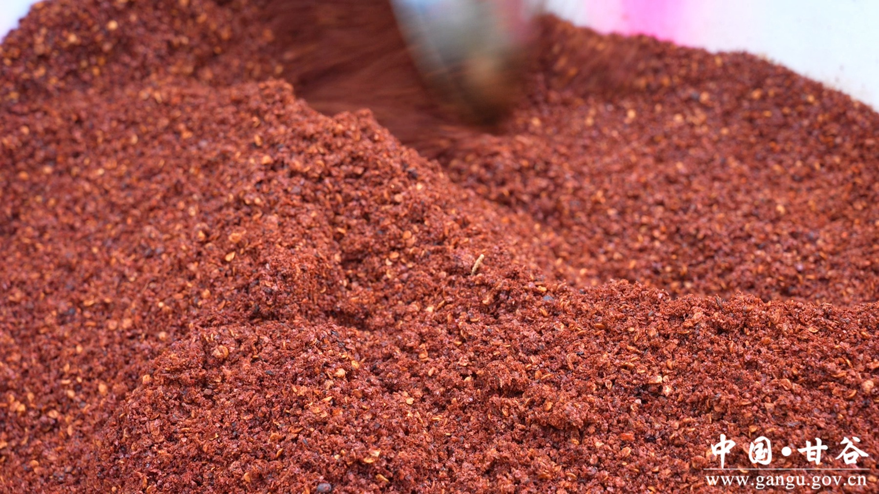 微信图片_20250923104848_25_248 微信图片_20250923104848_25_248