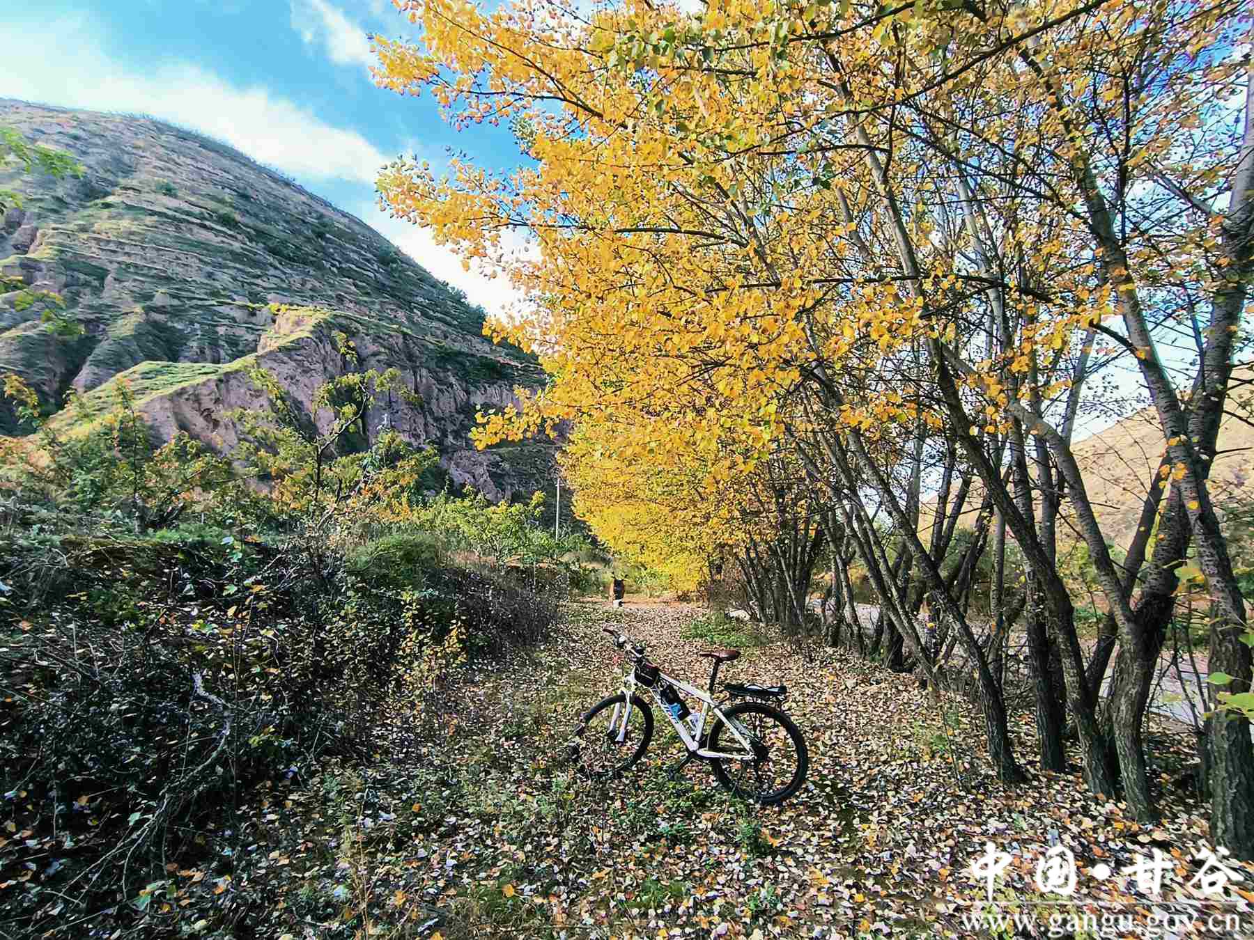 王正伟 (13) 王正伟 (13)