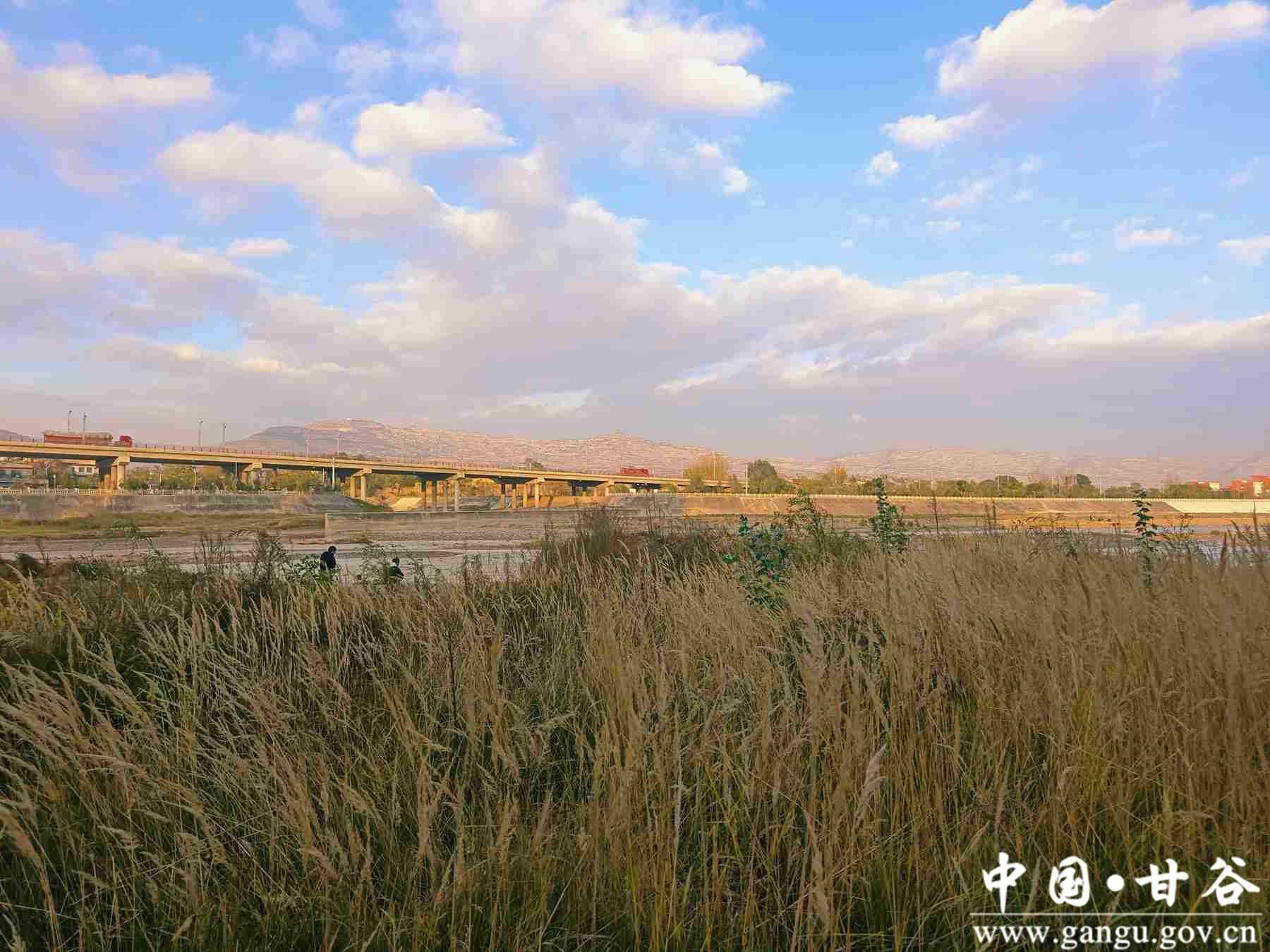 王正伟 (6) 王正伟 (6)