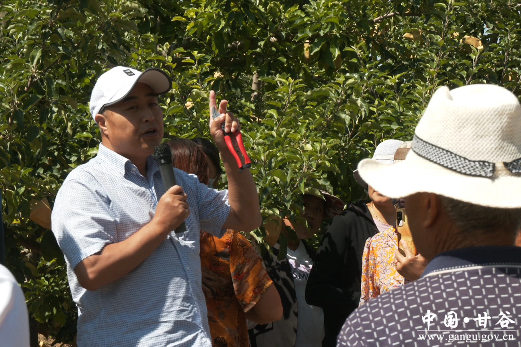 微信图片_20240701103909 微信图片_20240701103909