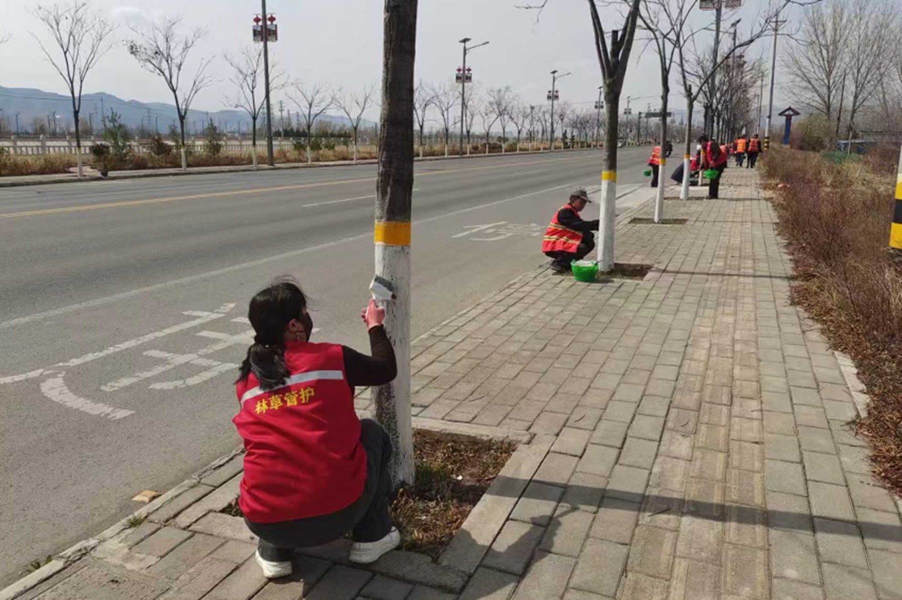 0dfd305b0a7e4529a61a1d6198e0dc22 0dfd305b0a7e4529a61a1d6198e0dc22