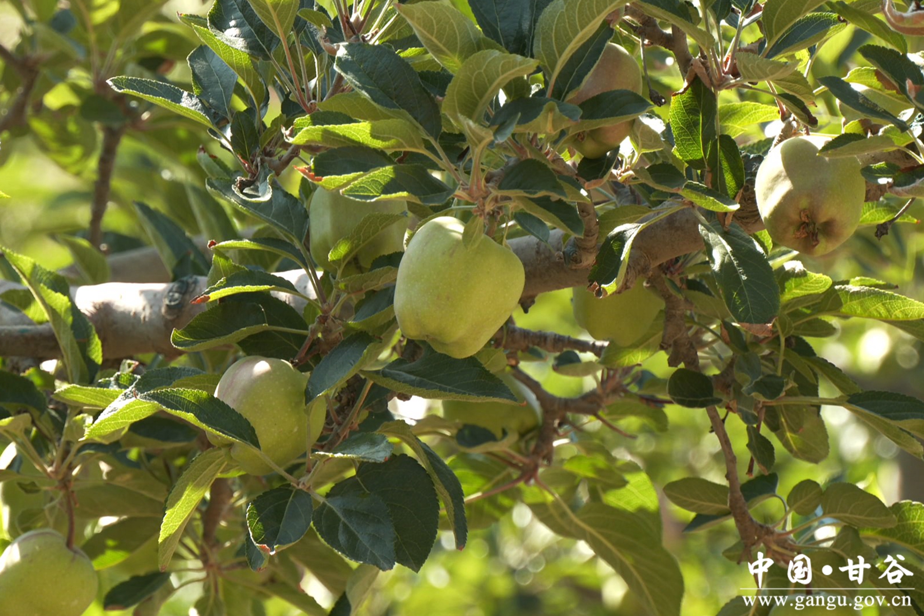 微信图片_20240701103919 微信图片_20240701103919