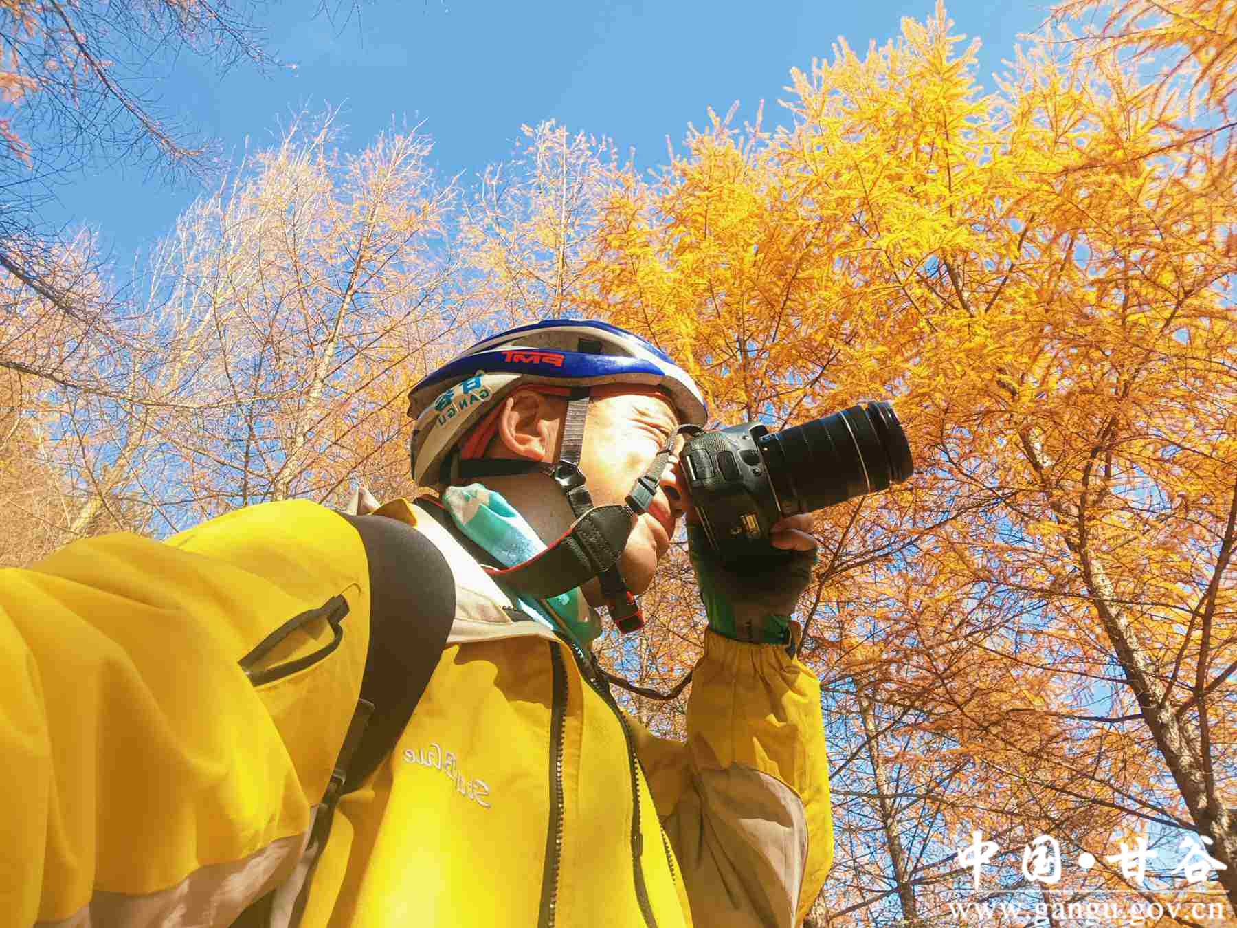 王正伟 (8) 王正伟 (8)