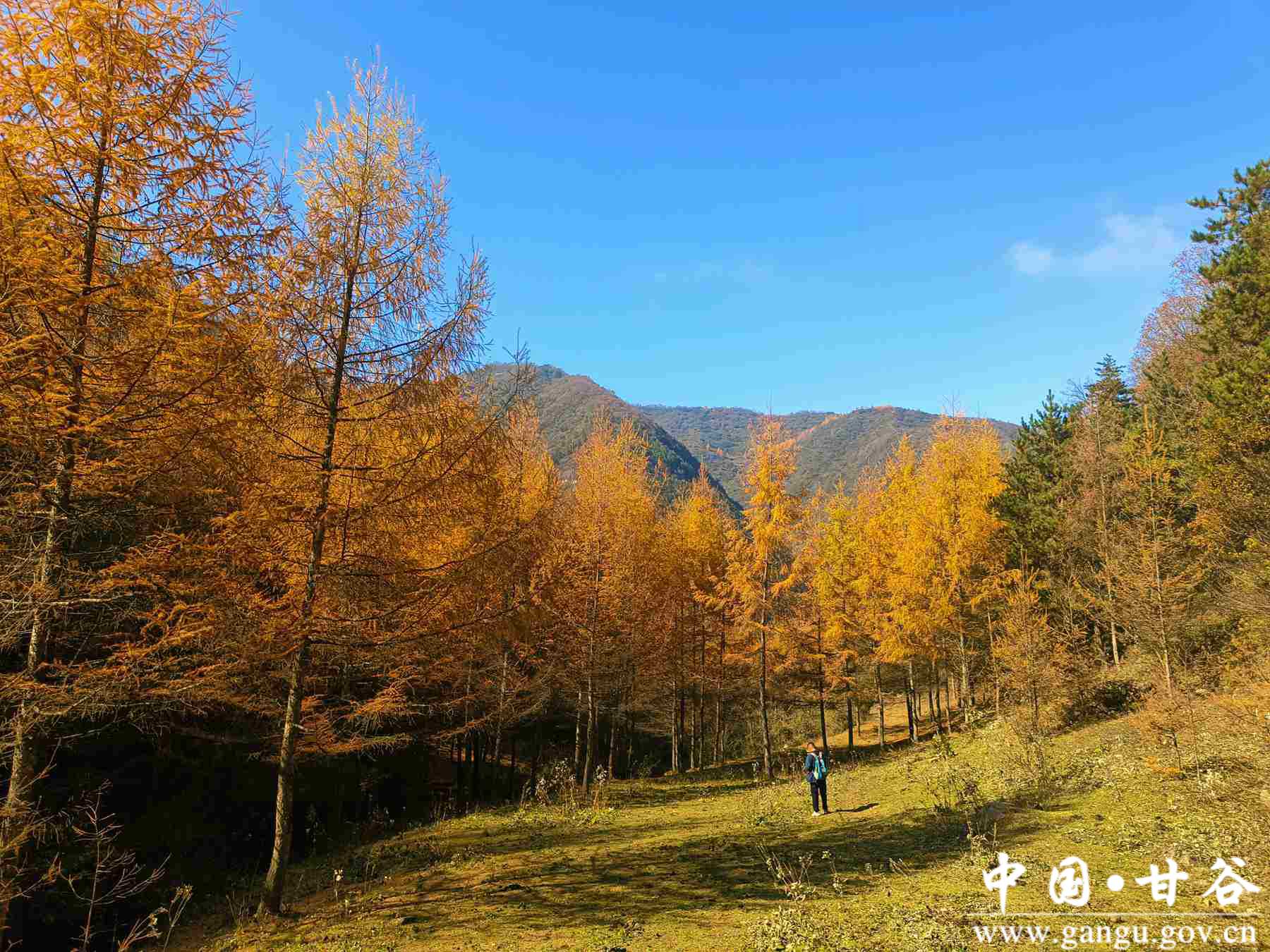 王正伟 (19) 王正伟 (19)