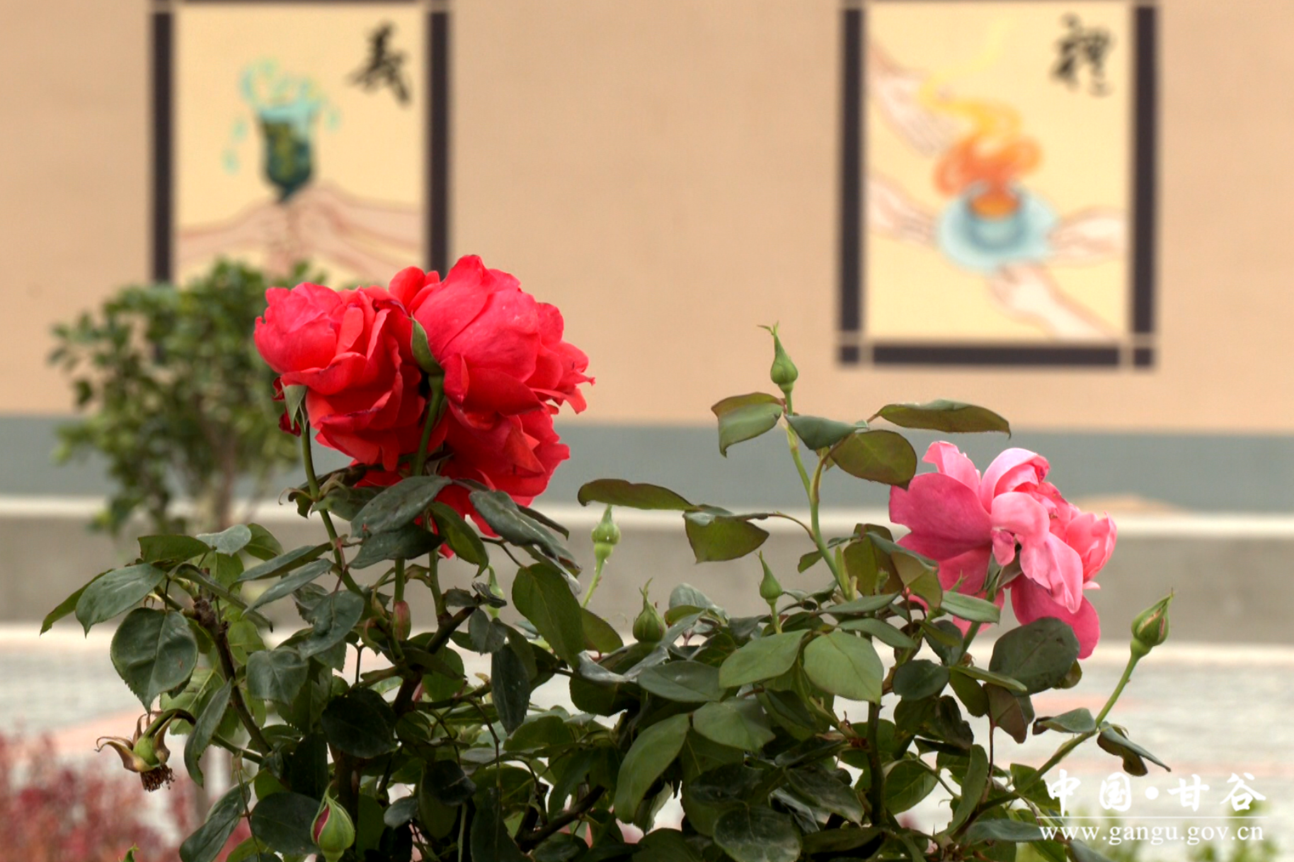 1718761680799082658.png 1718761680799082658.png