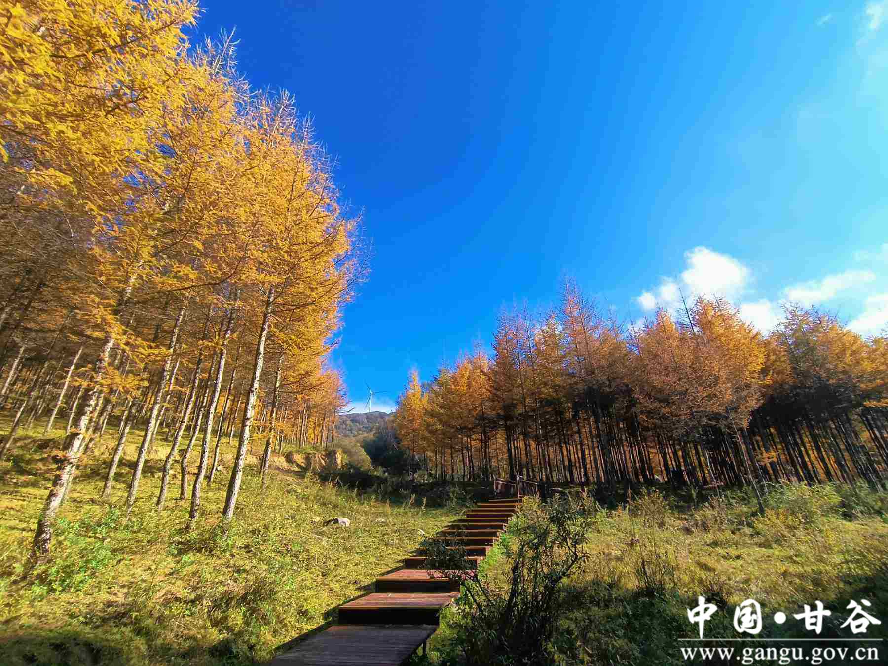 王正伟 (16) 王正伟 (16)