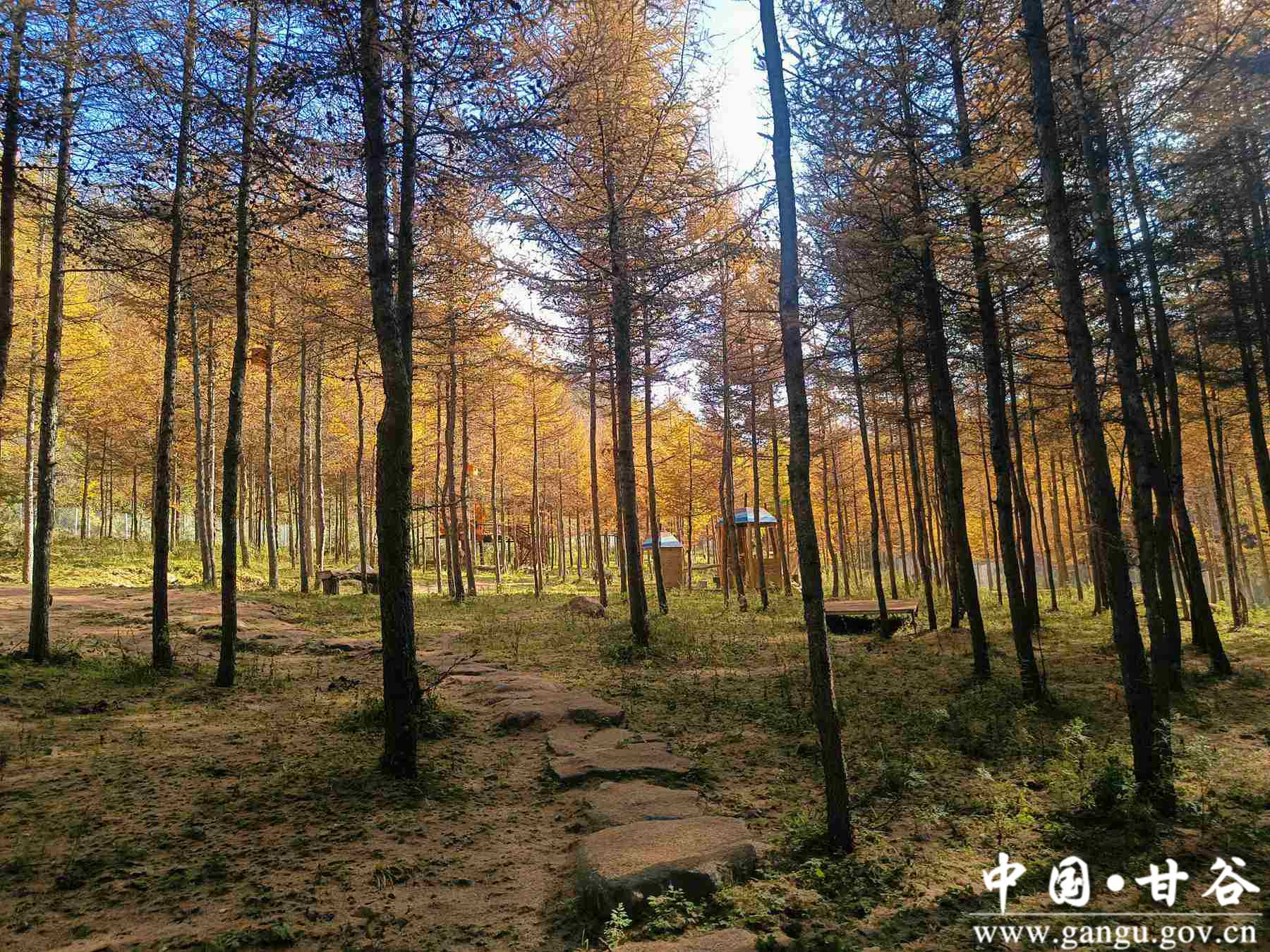 王正伟 (14) 王正伟 (14)