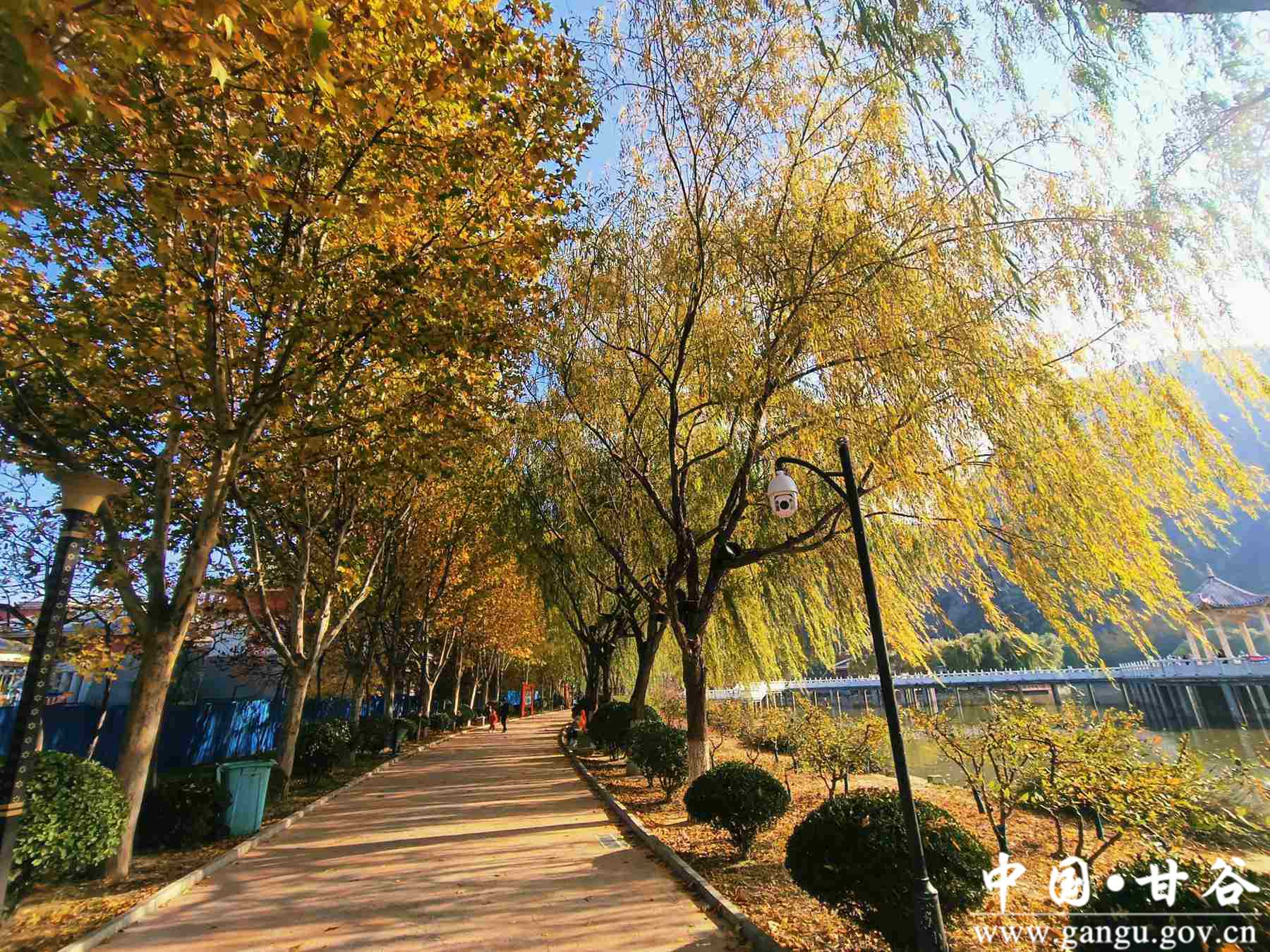 王正伟 (1) 王正伟 (1)