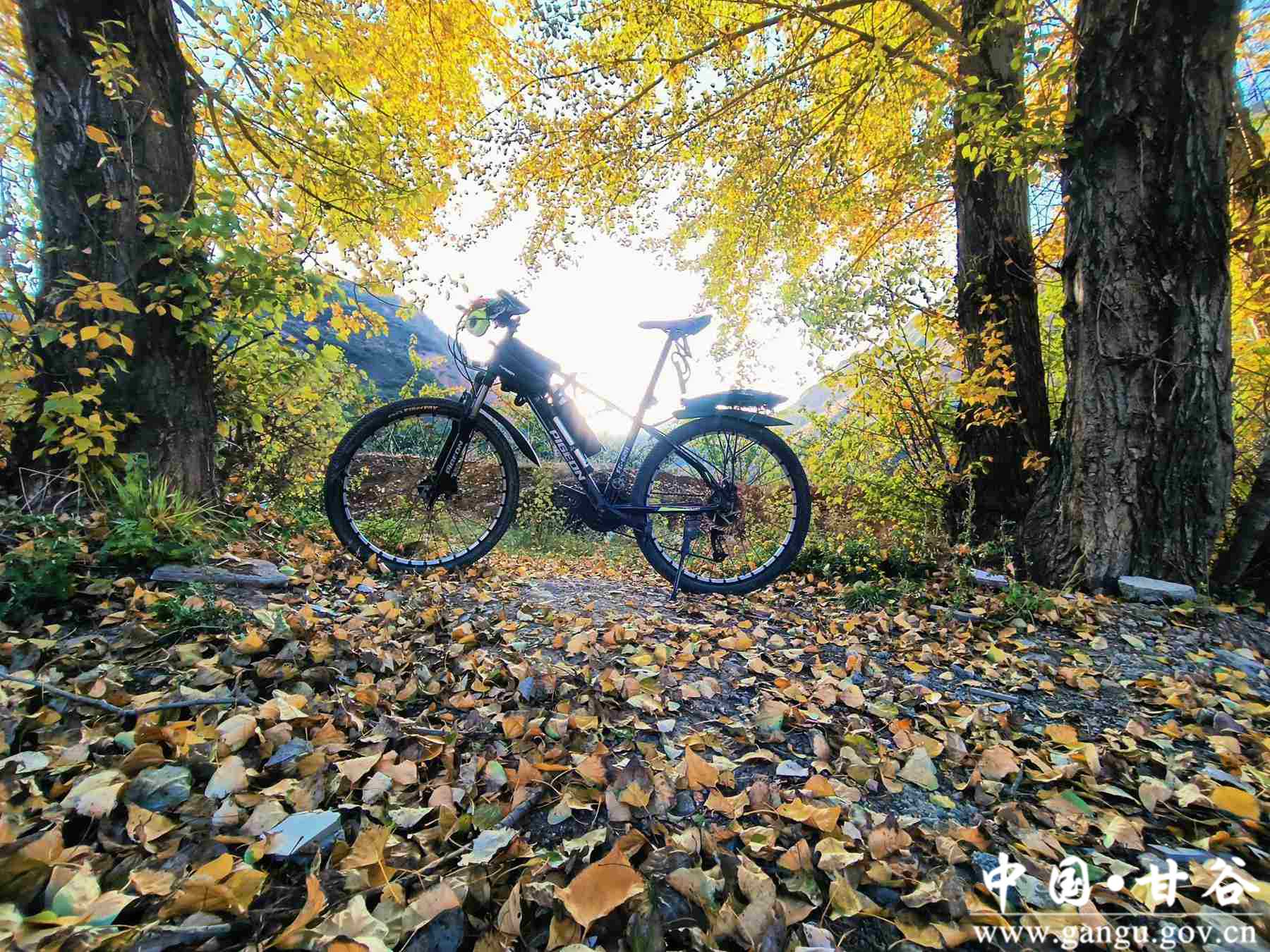 王正伟 (17) 王正伟 (17)