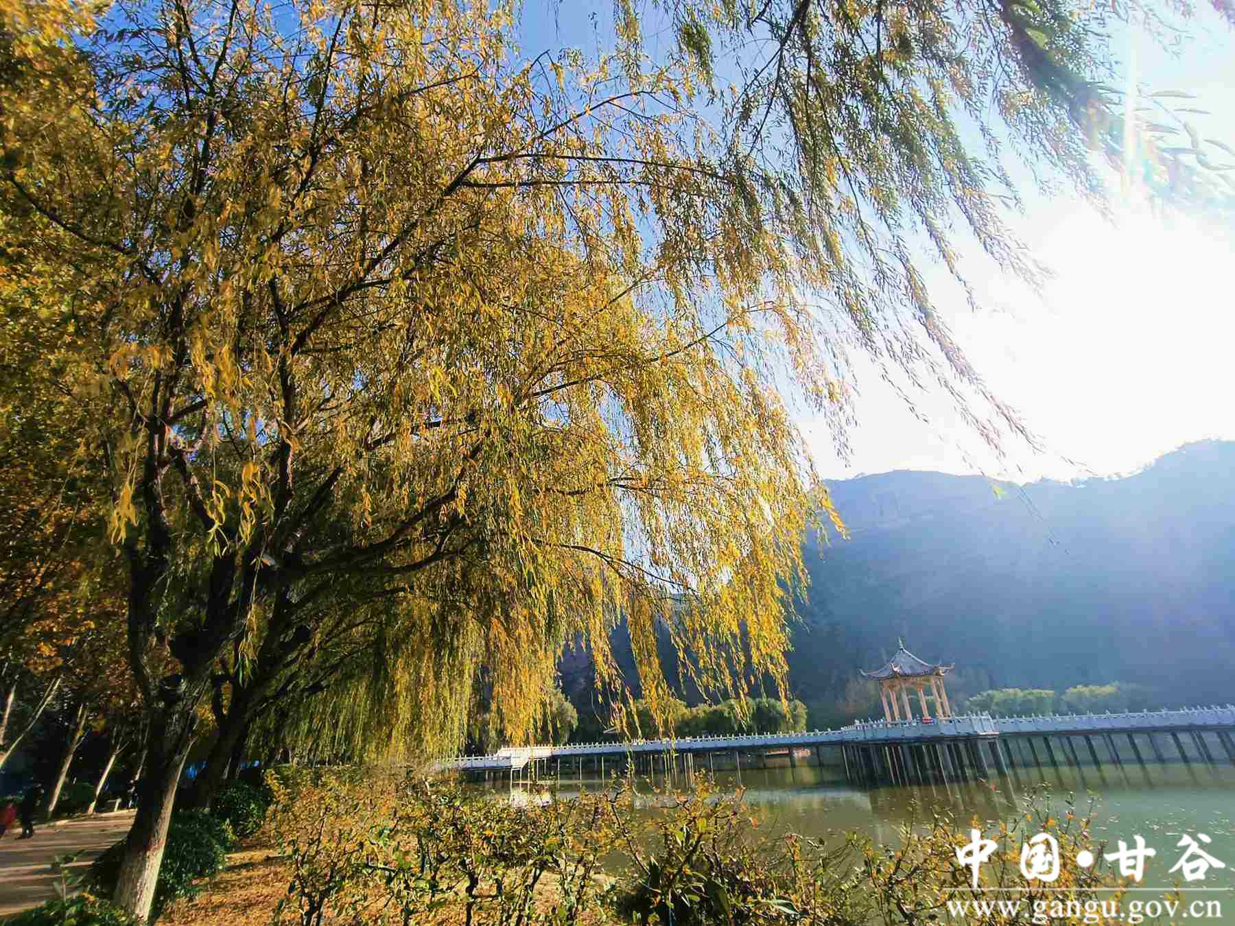 王正伟 (2) 王正伟 (2)