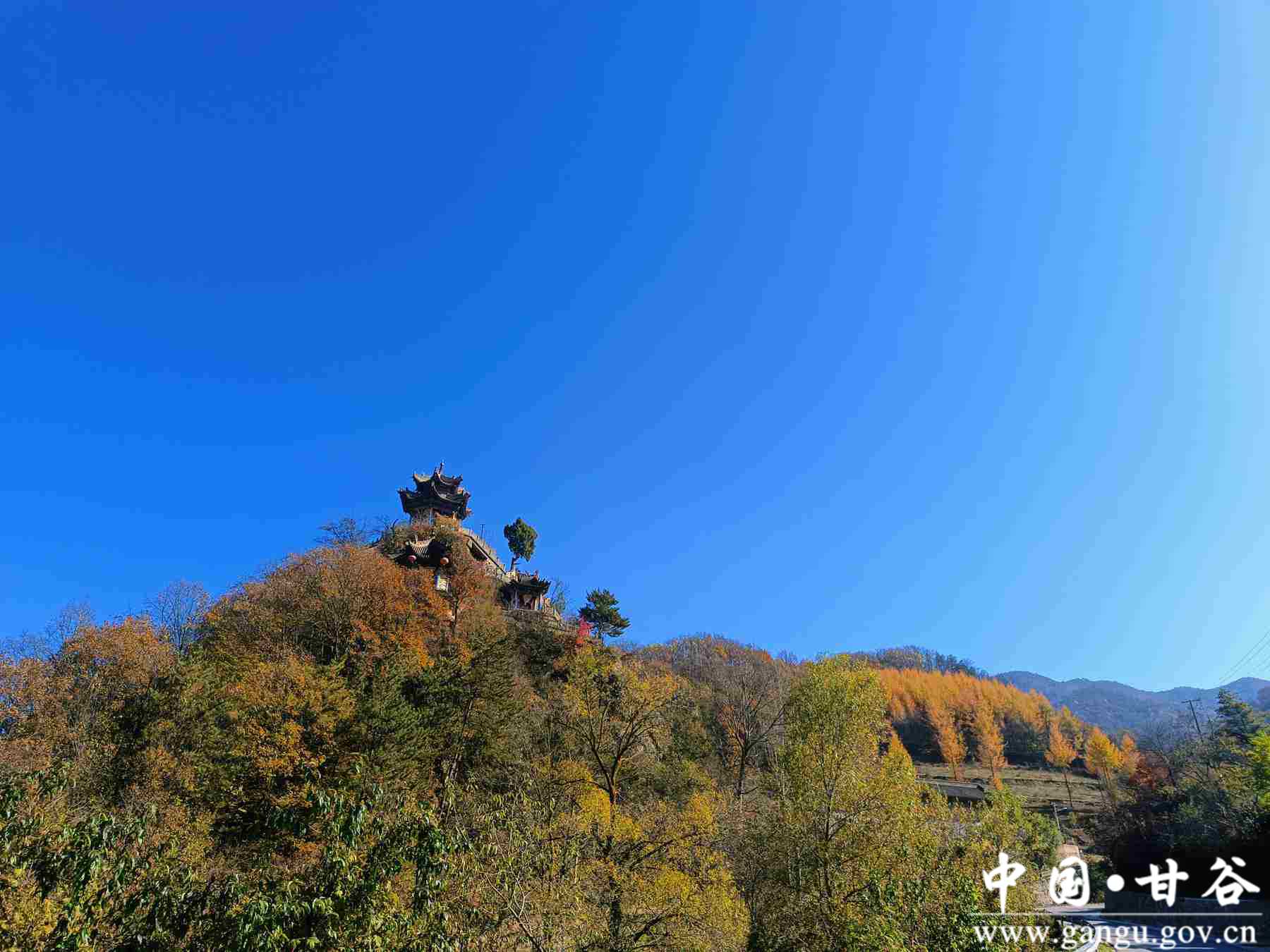 王正伟 (20) 王正伟 (20)