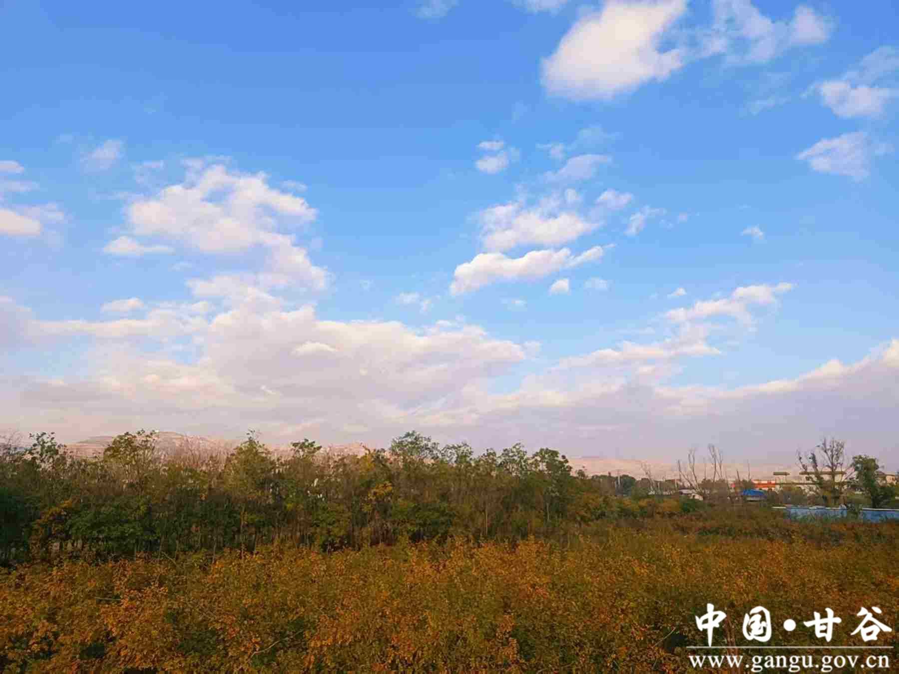 王正伟 (4) 王正伟 (4)