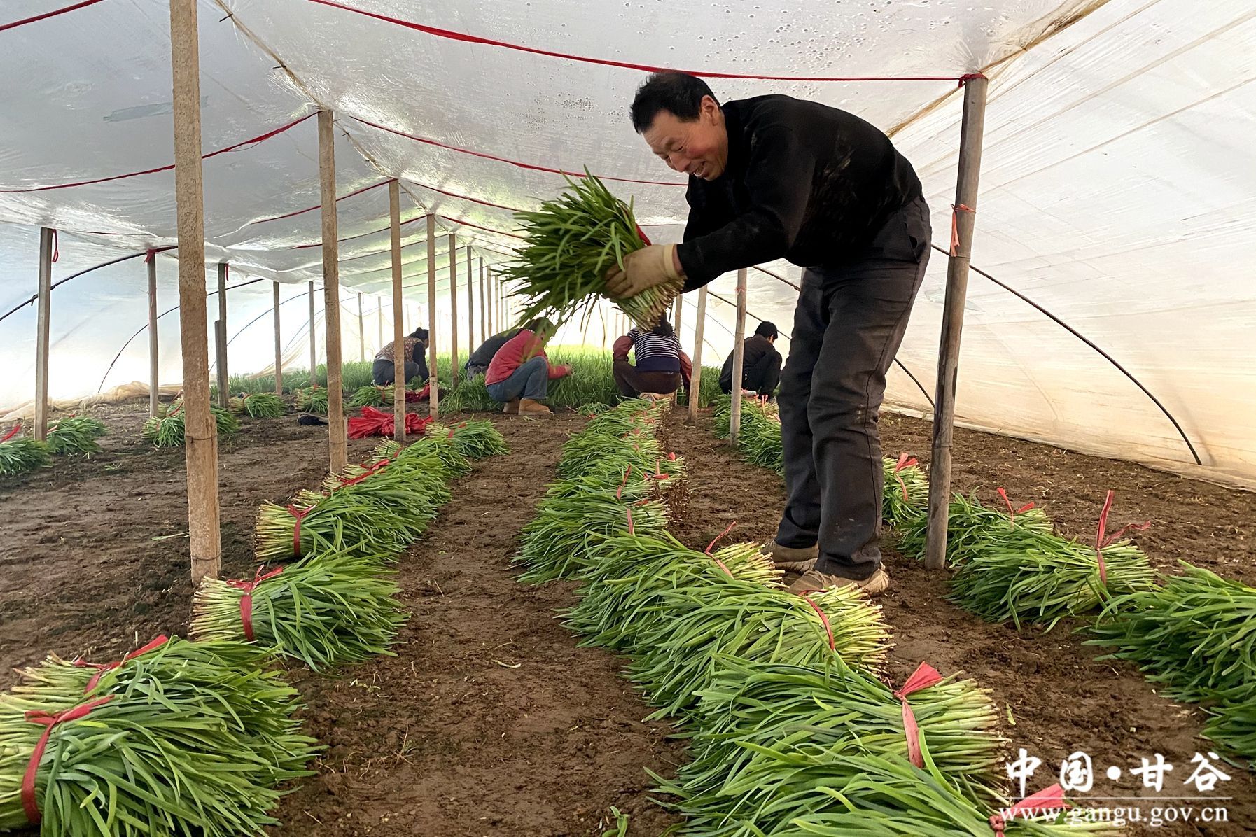 微信图片_20250115170446 微信图片_20250115170446